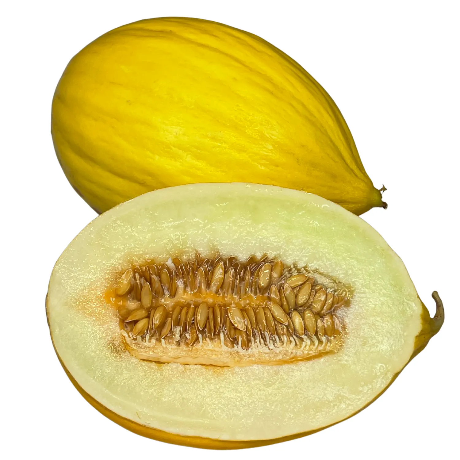 Gelbe Honigmelone Bio
