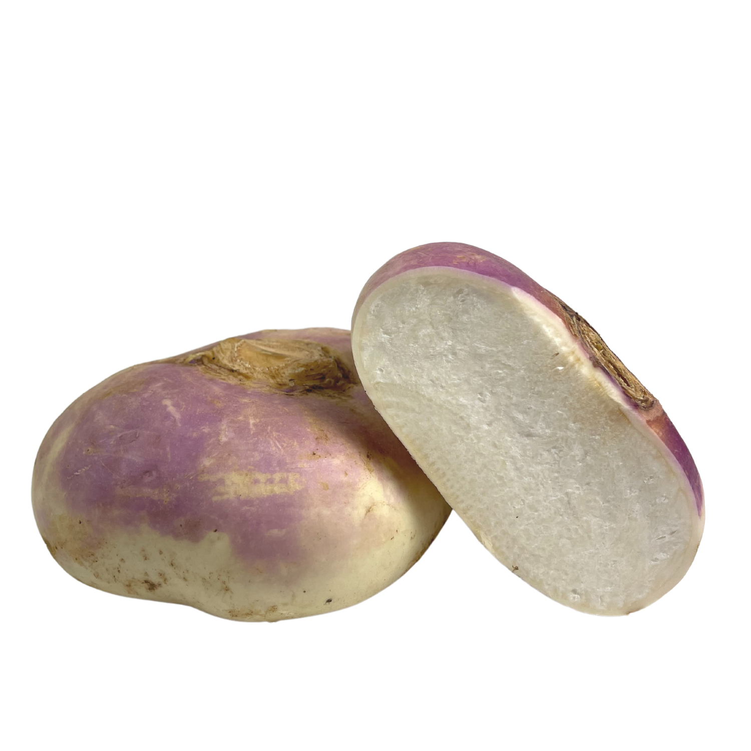 Rübe weiß rund Bio