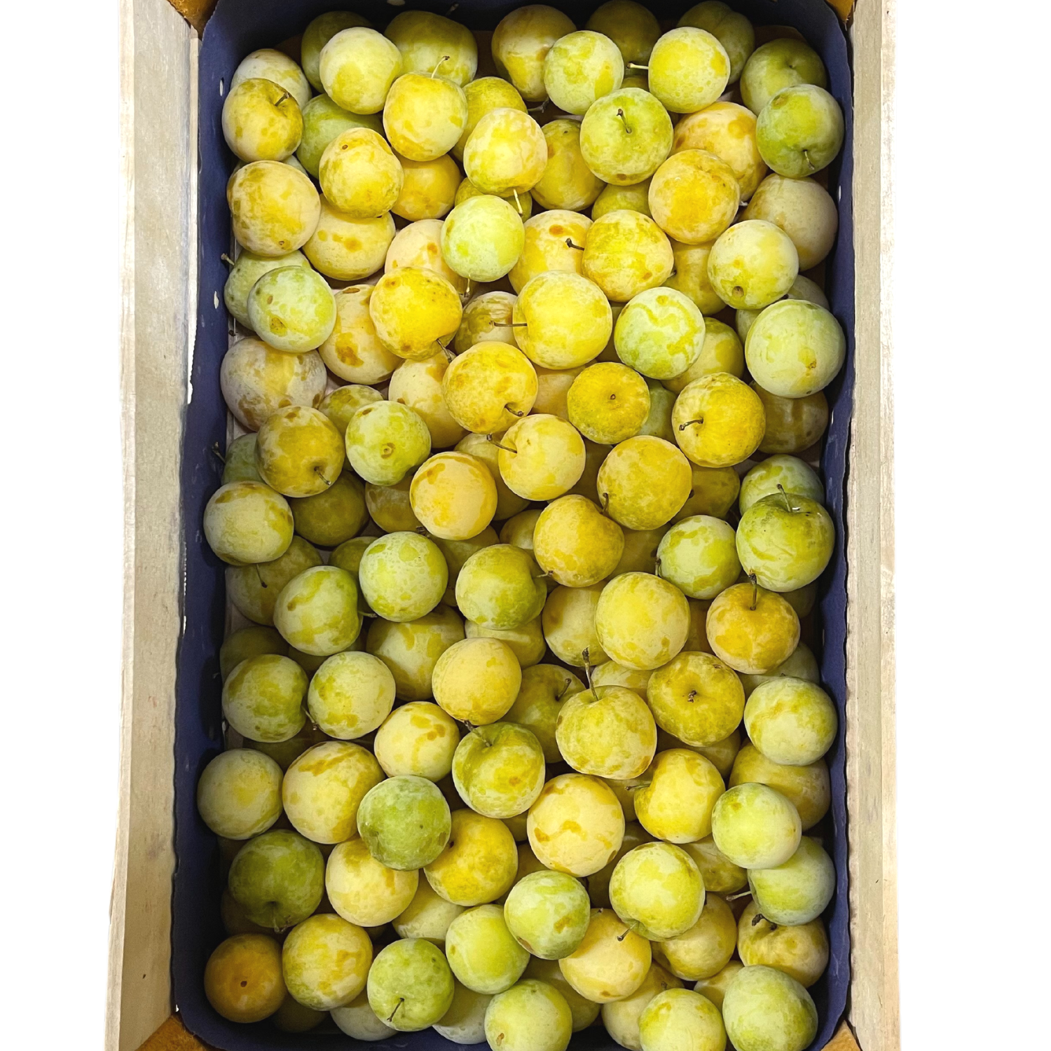 Susine gialle Bio Cassa ca. 9 kg