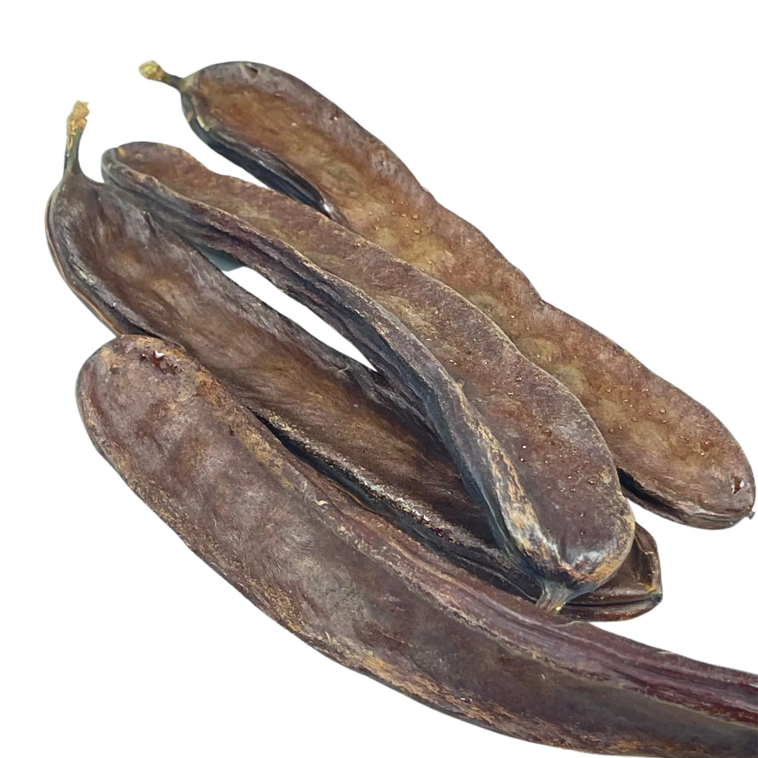 Carrube Bio