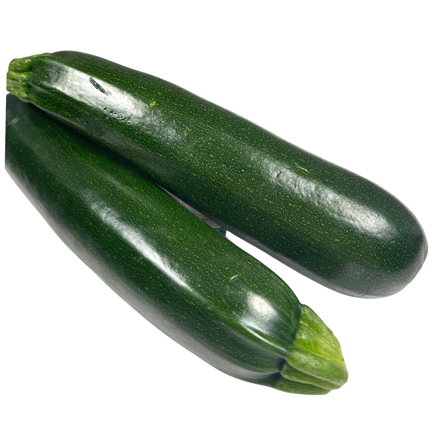 Zucchine Bio