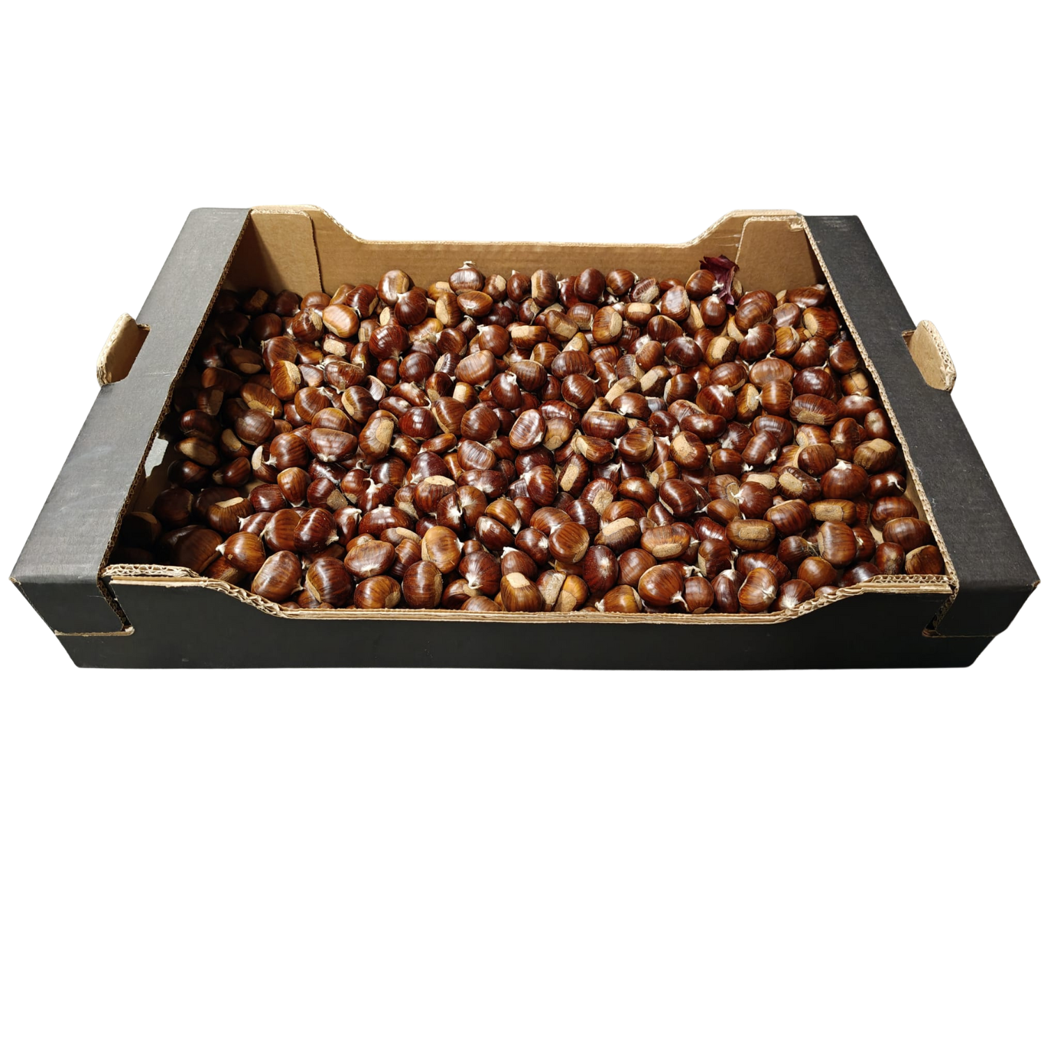 Castagne Bio Cassa 10 kg