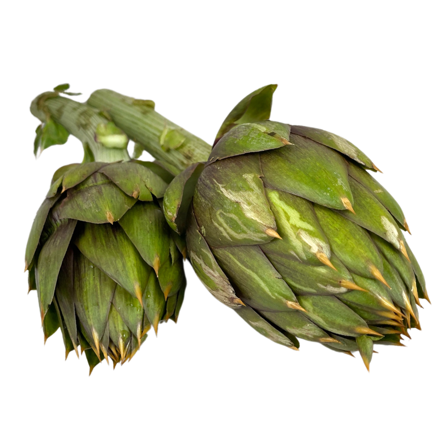 Carciofi