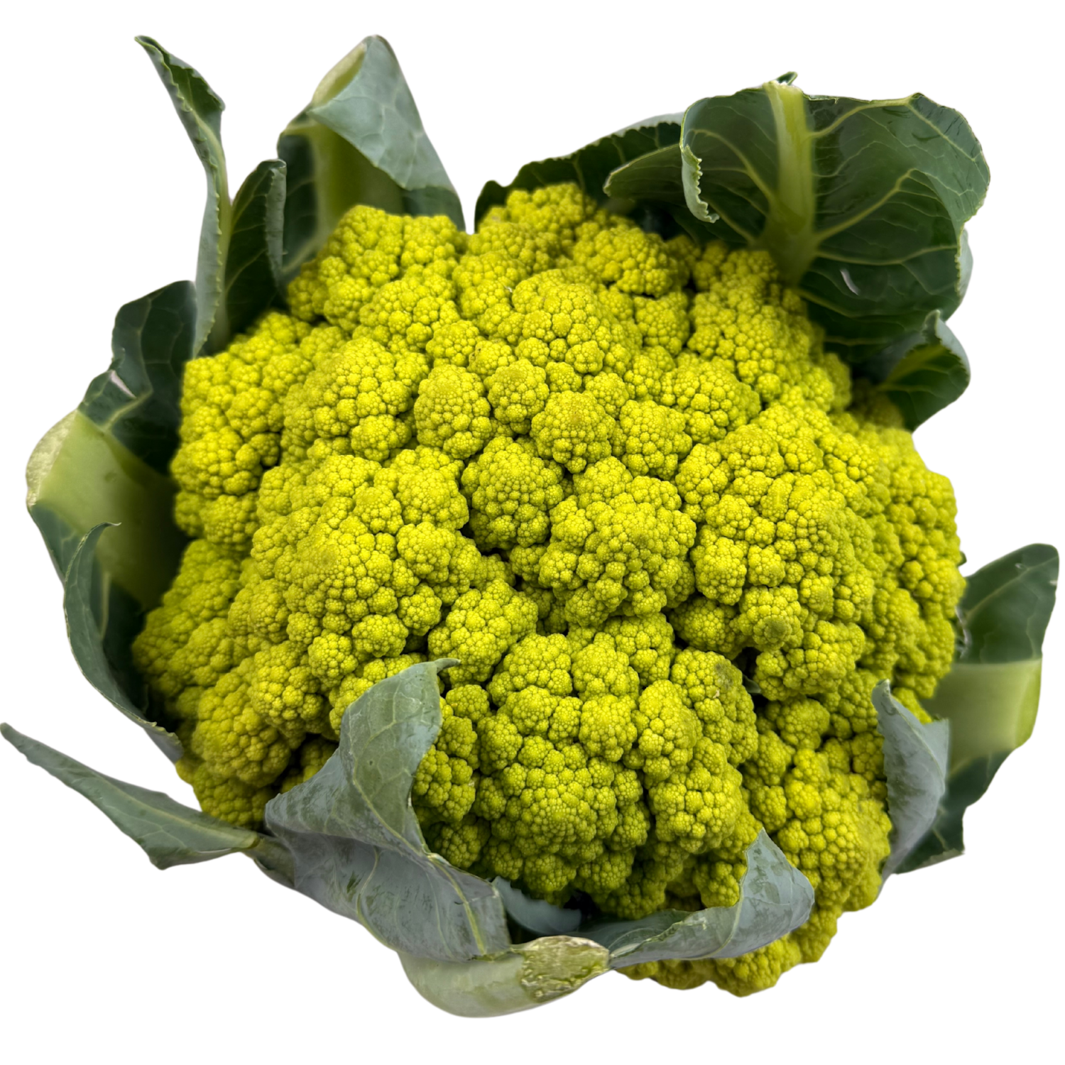 Cavolfiore verde Bio