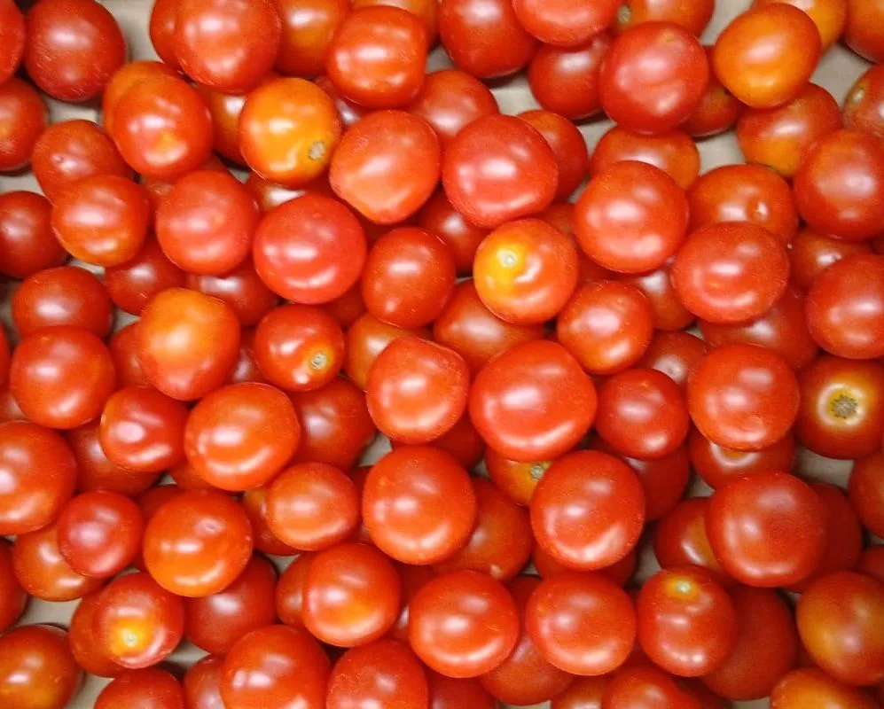 Pomodorini cherry Bio