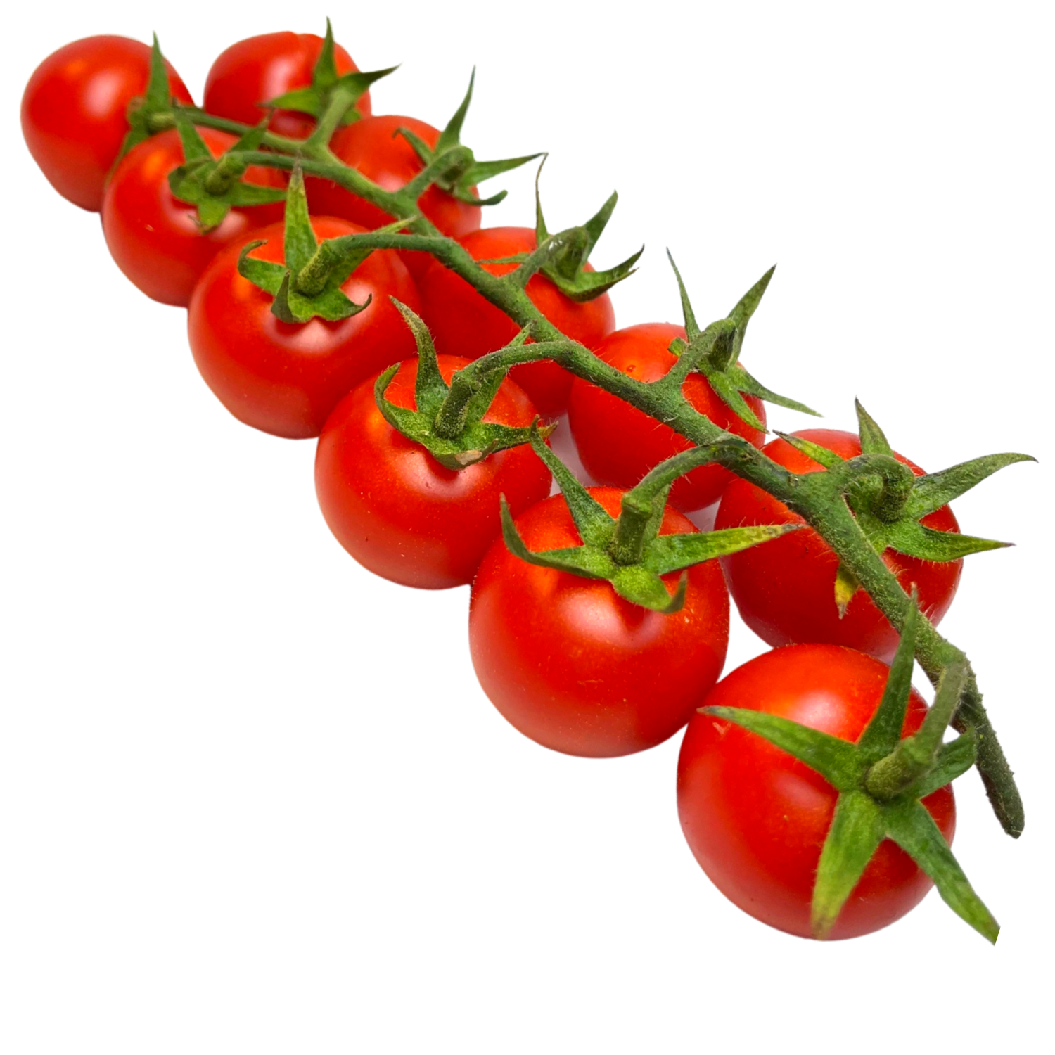 Pomodorini cherry Bio