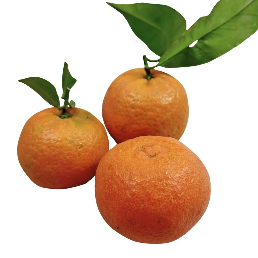 Clementine Bio