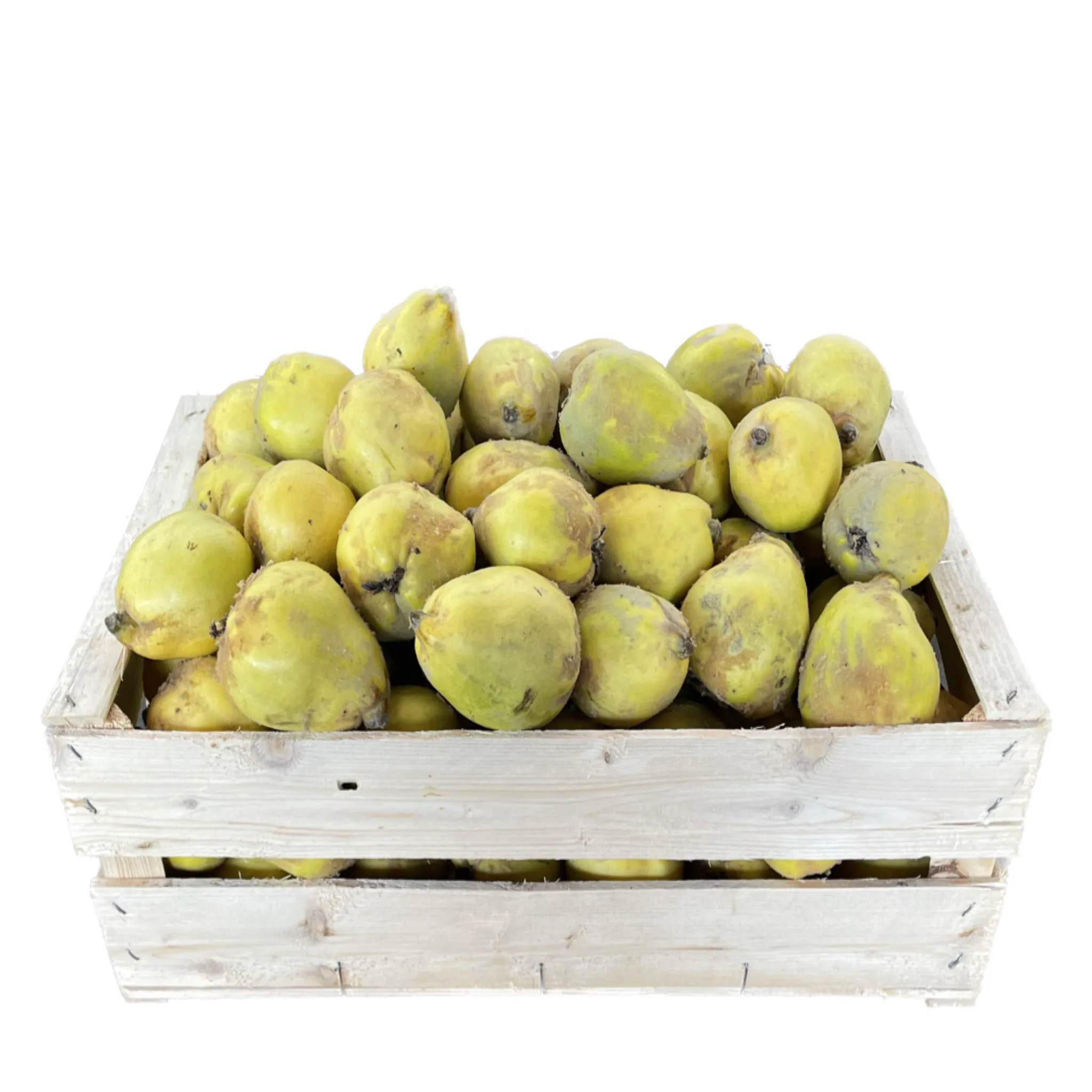 Quitten Bio Kiste 9 kg