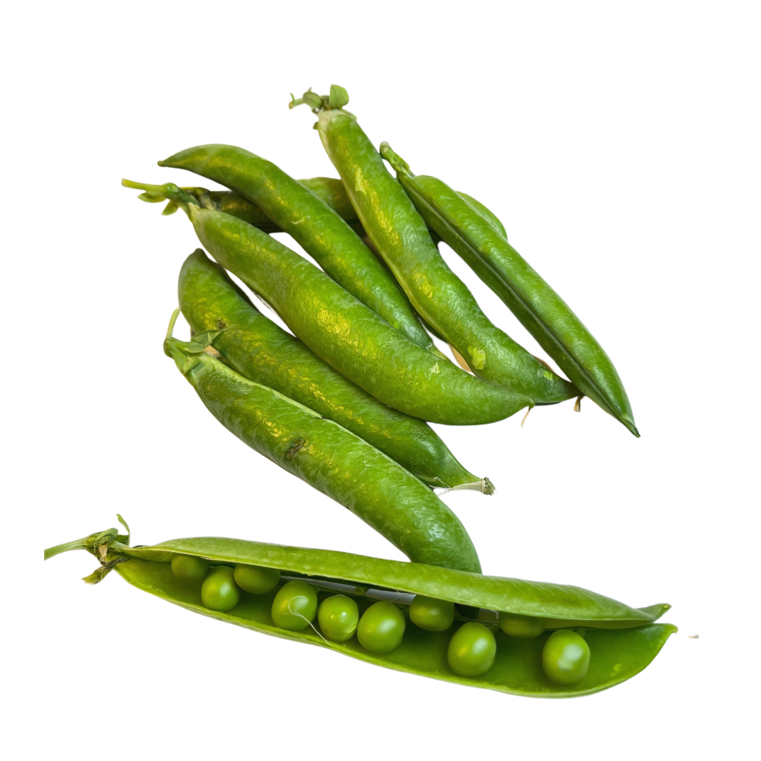 Piselli Bio