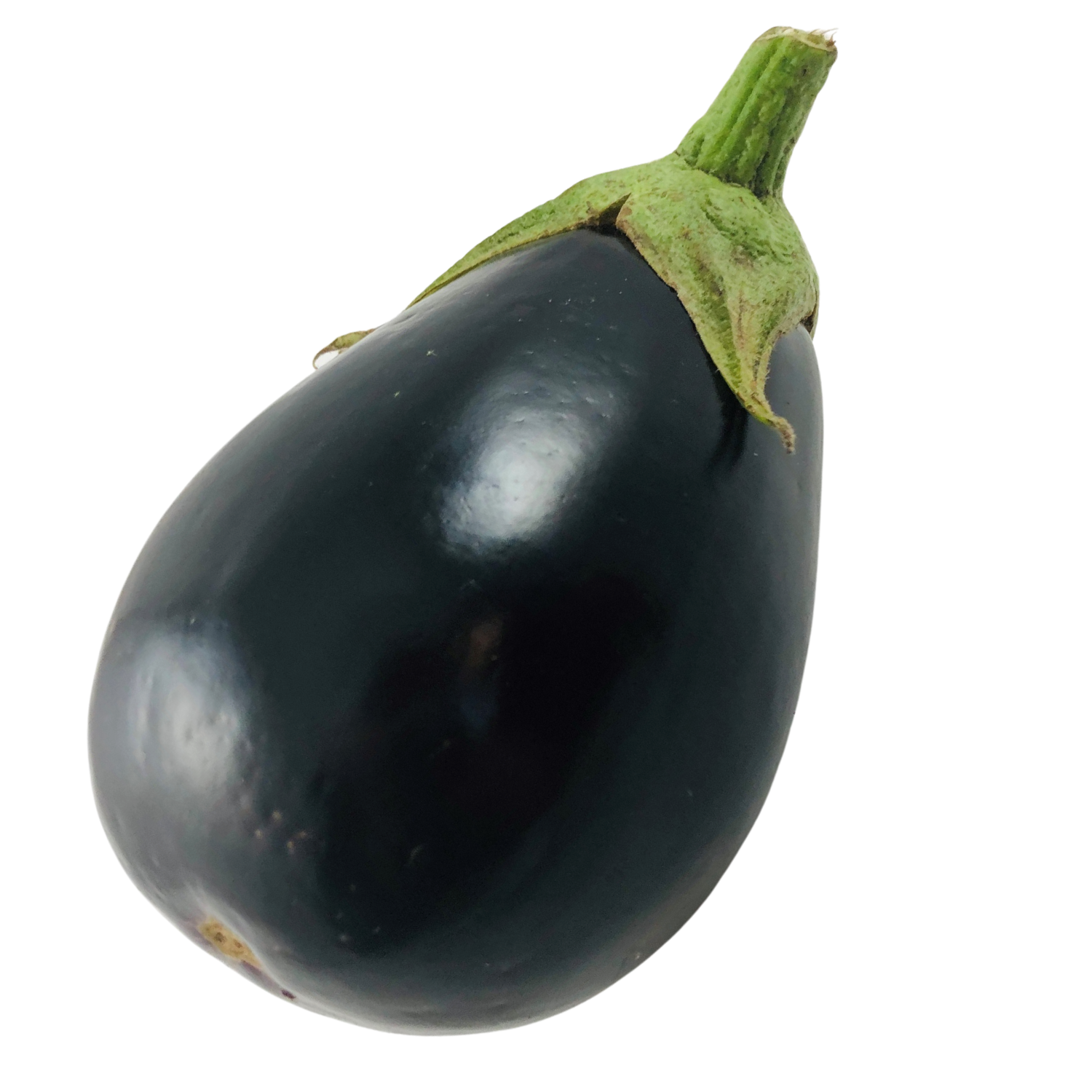 Melanzane Bio