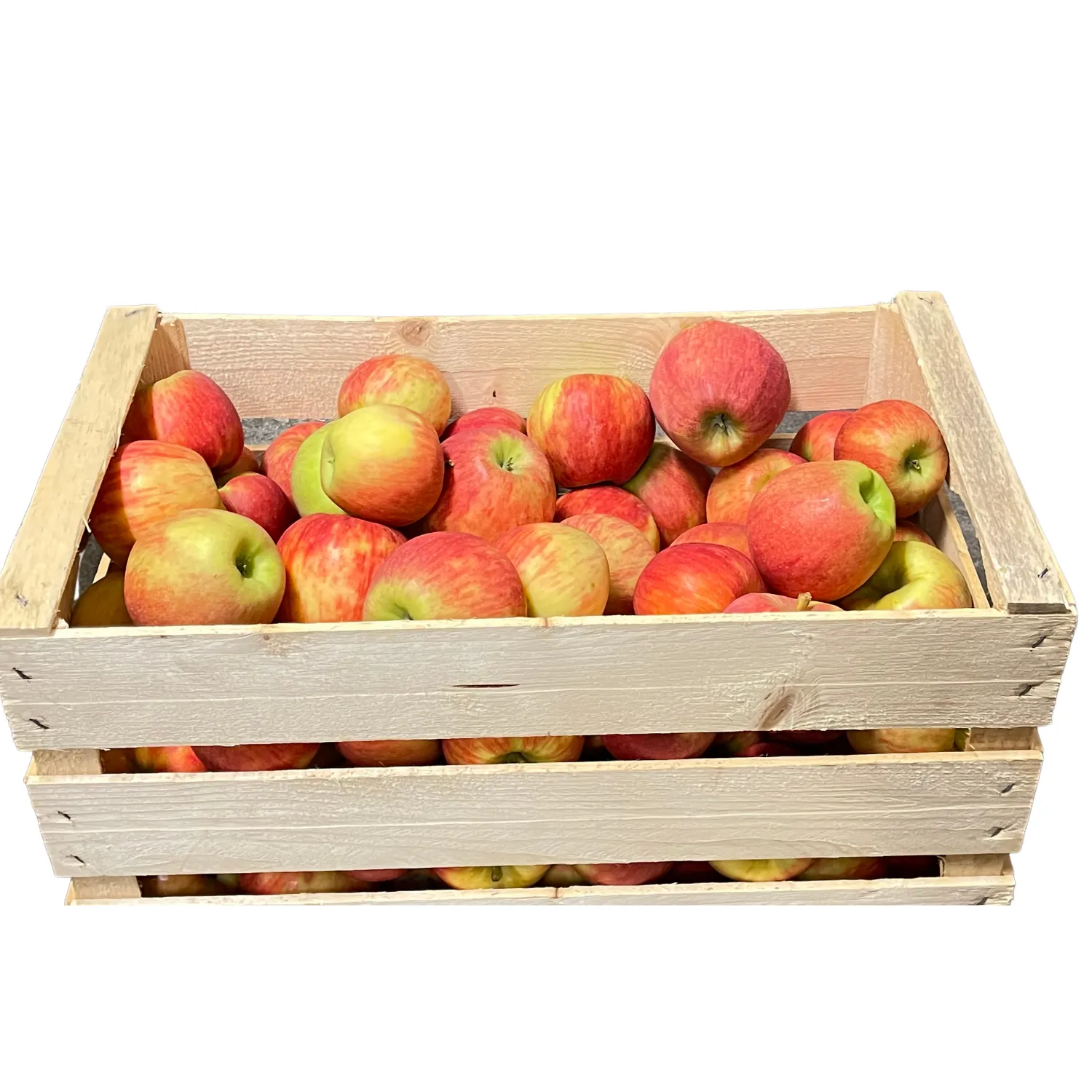 Mele rosse Rubens Bio Cassa 9 kg - nuova raccolta