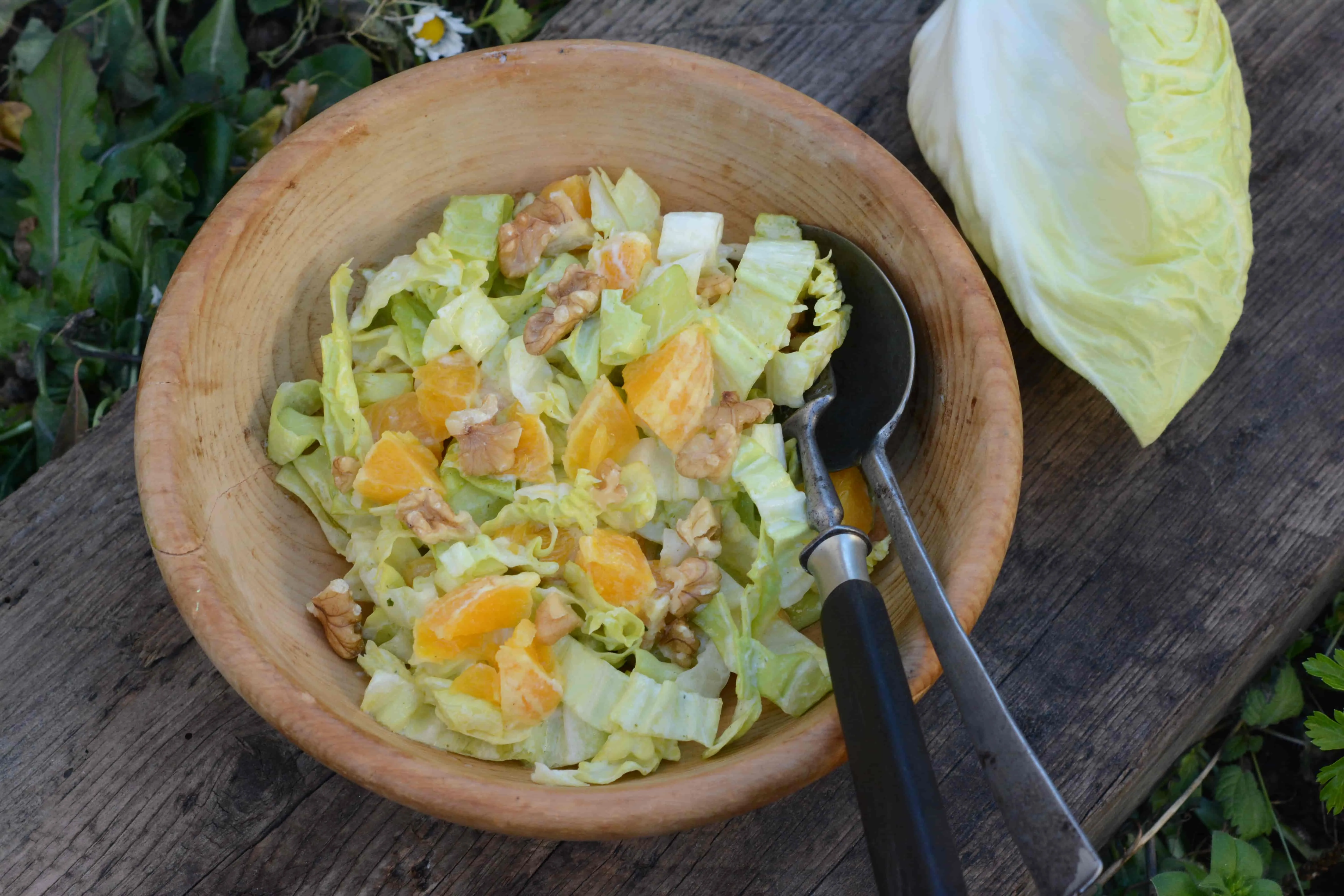 Insalata di radicchio pan di zucchero con arance