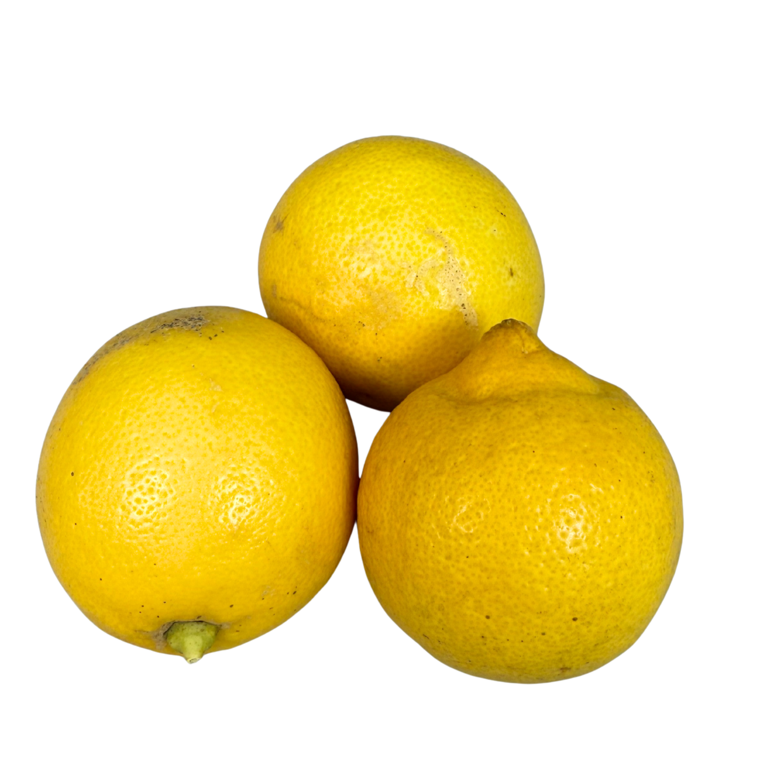 Zitronen Bio