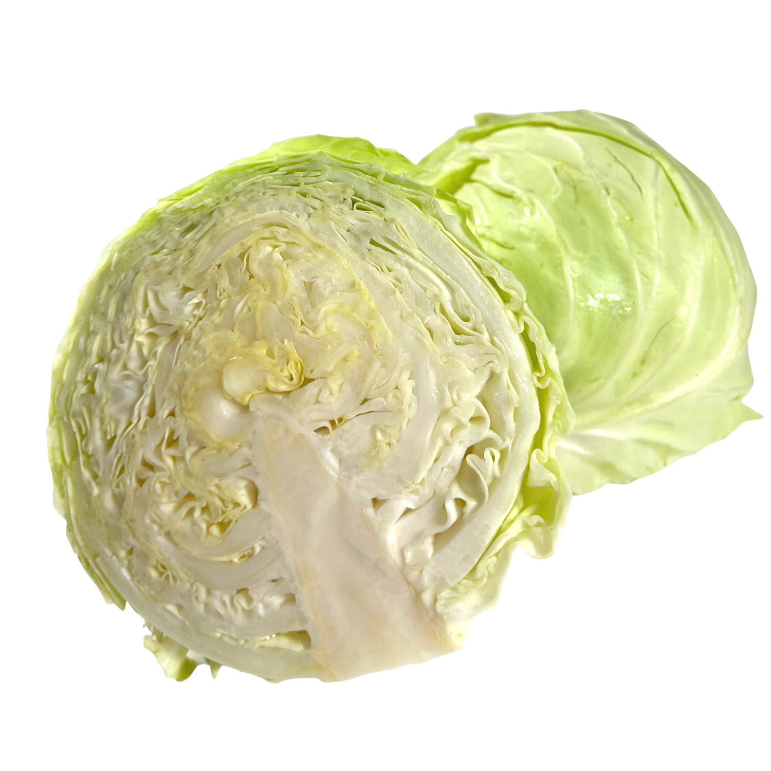 Cavolo cappuccio Bio