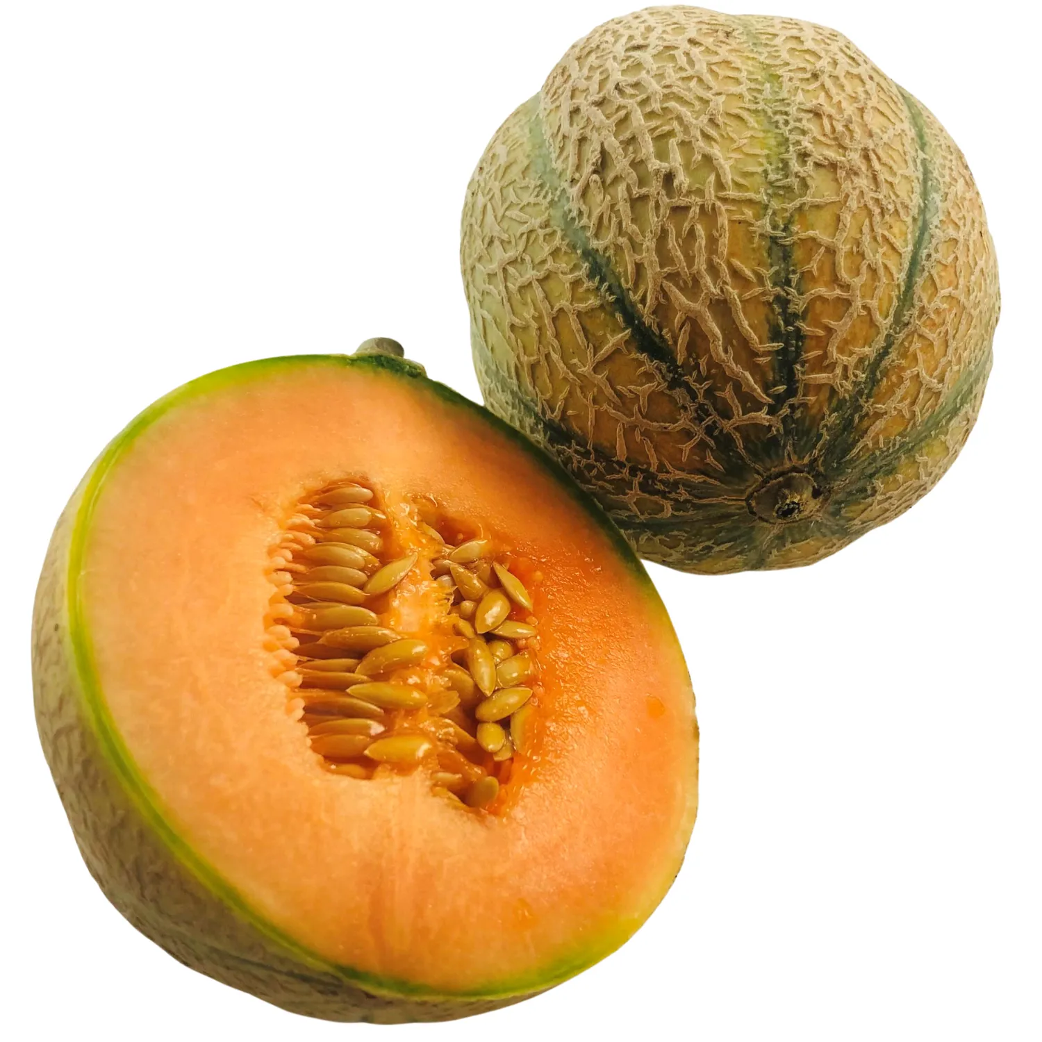 Melone Bio