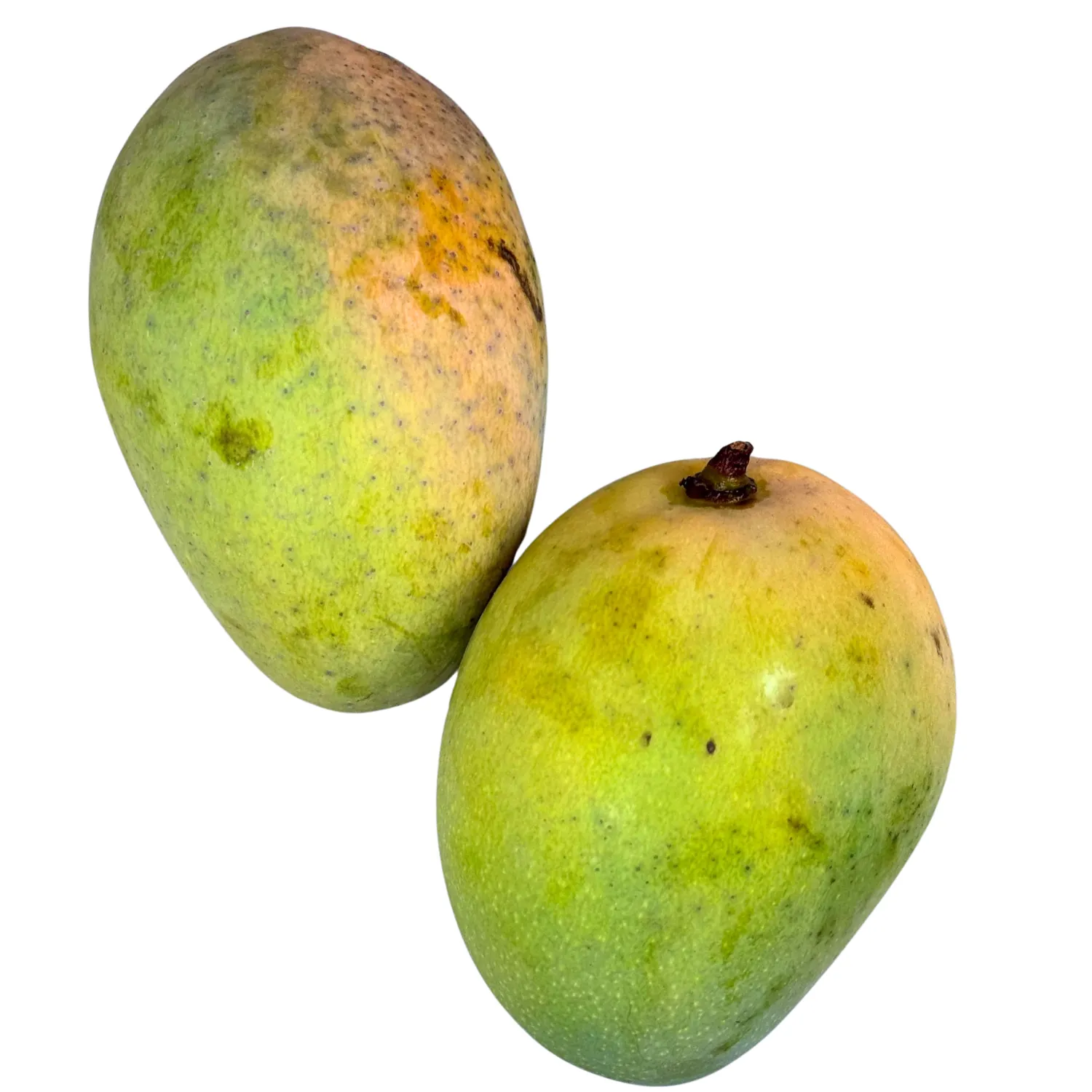 Mango Bio Sicilia