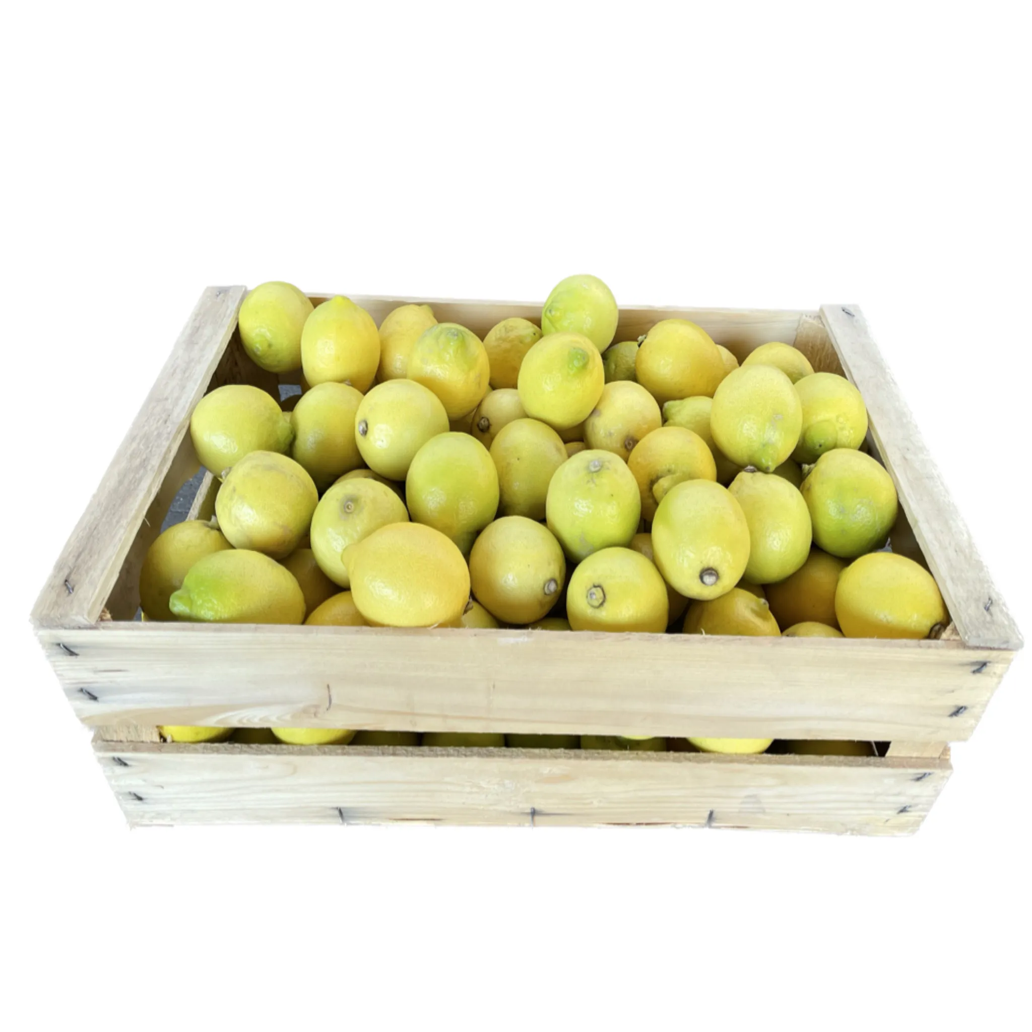 Limoni Bio Cassa 10kg