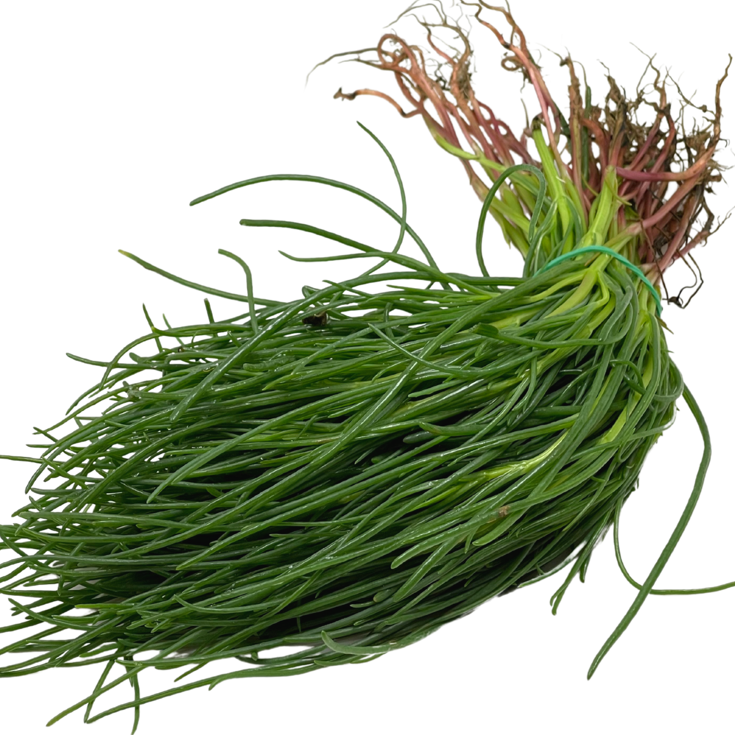 Agretti o barba di frate