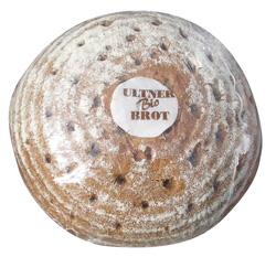 Pane campagnolo di segale Bio ca. 435 g