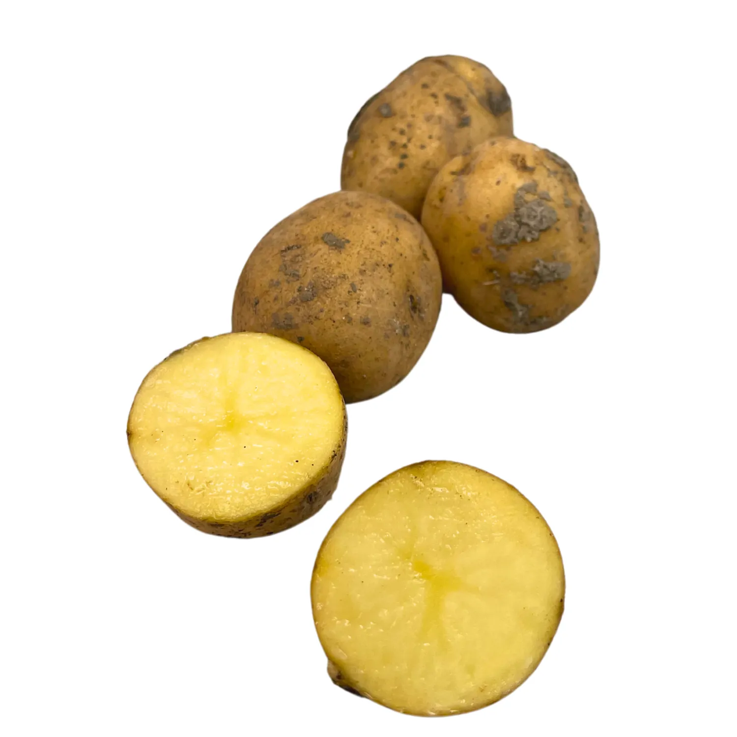 Patate novelle Bio