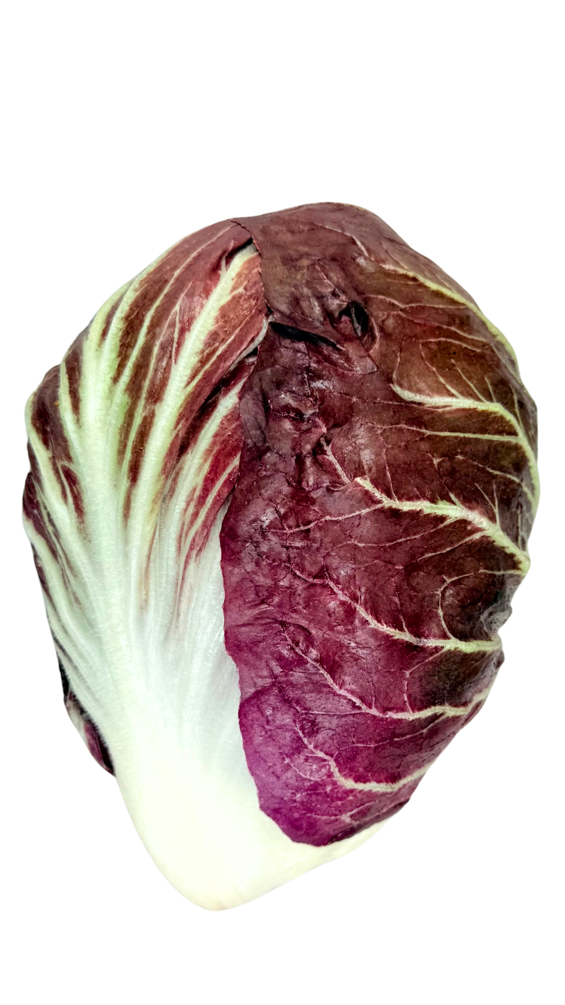 Radicchio rosso Bio