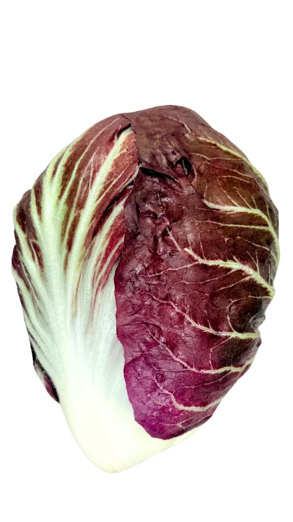 Radicchio rosso tondo Bio