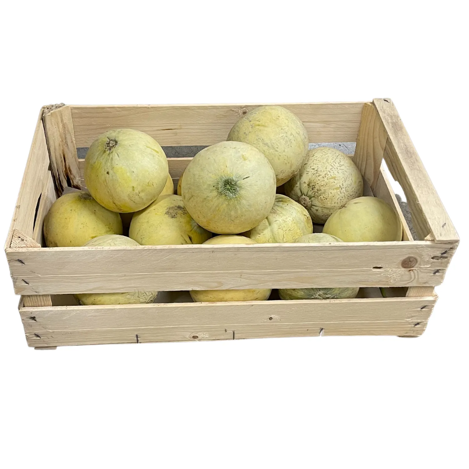 Melone Honey Moon Bio Cassa 7 kg