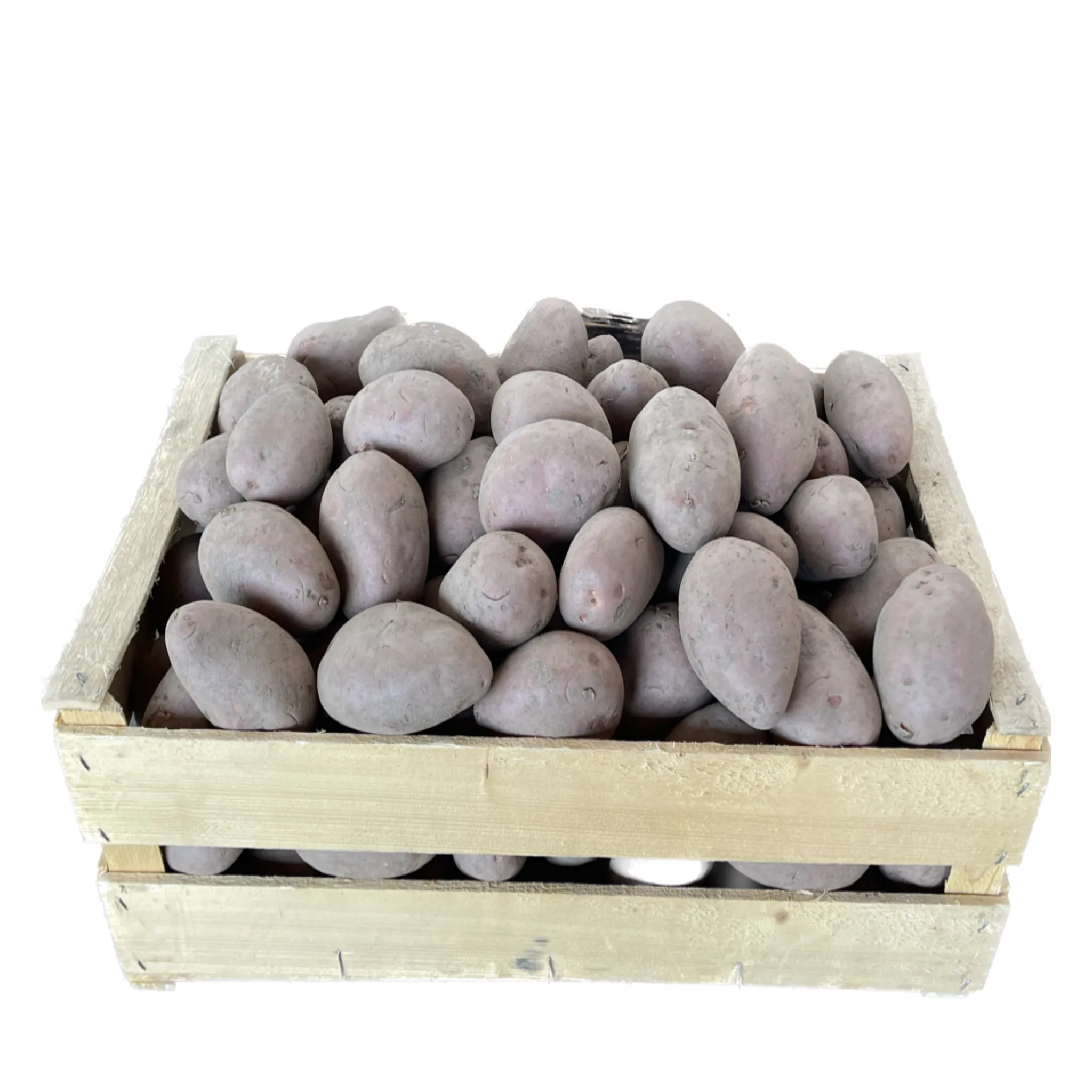 Kartoffeln rot Bio Kiste 10 kg