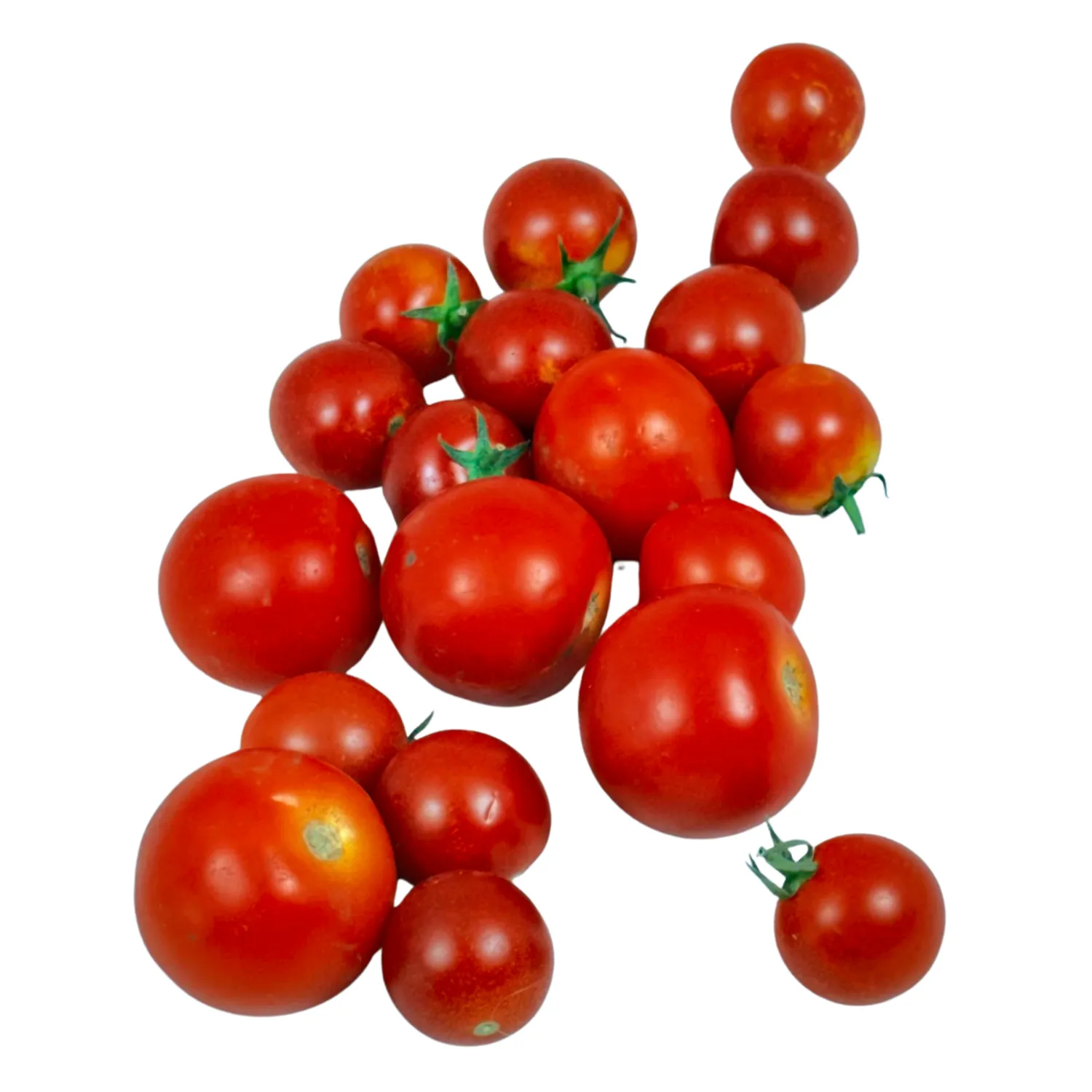 Pomodorini cherry Bio