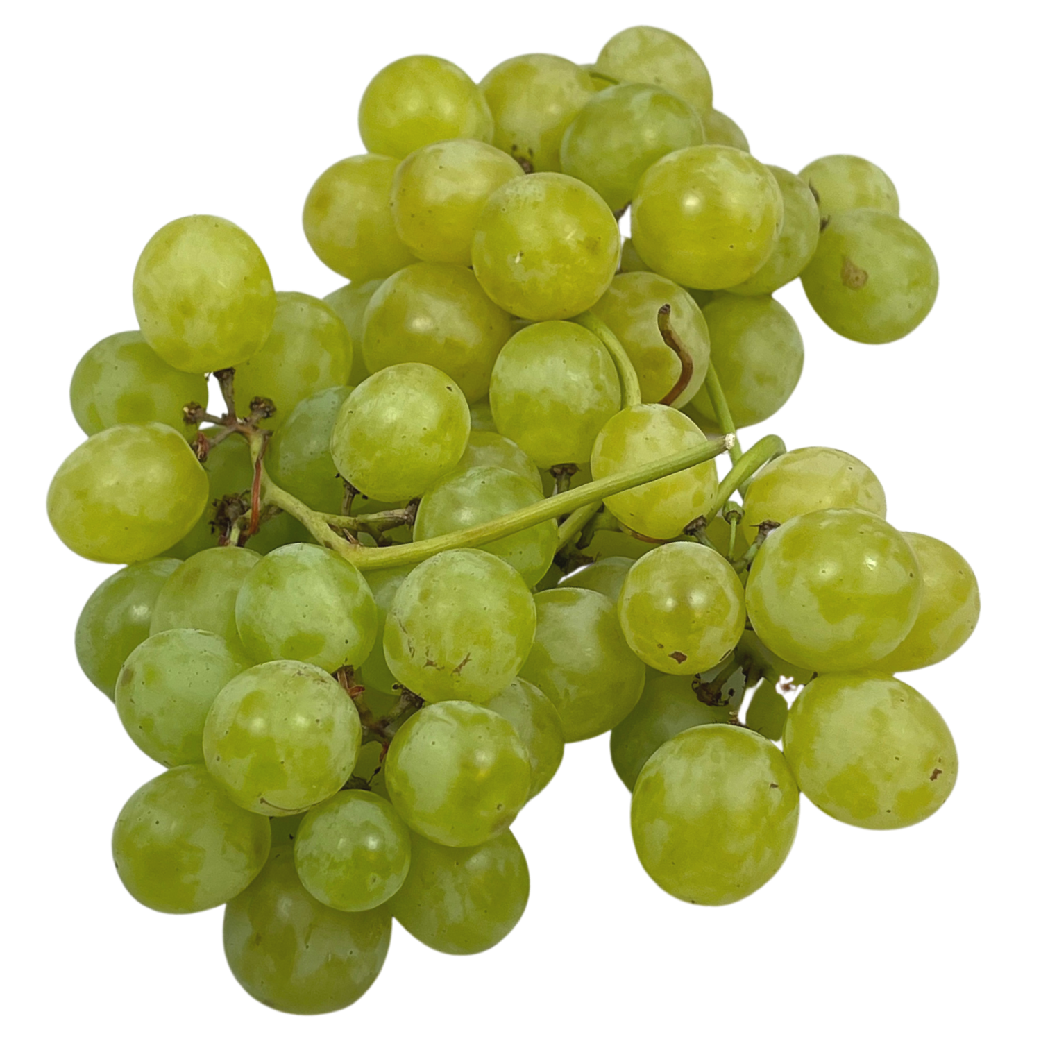 Uva bianca Bio senza semi