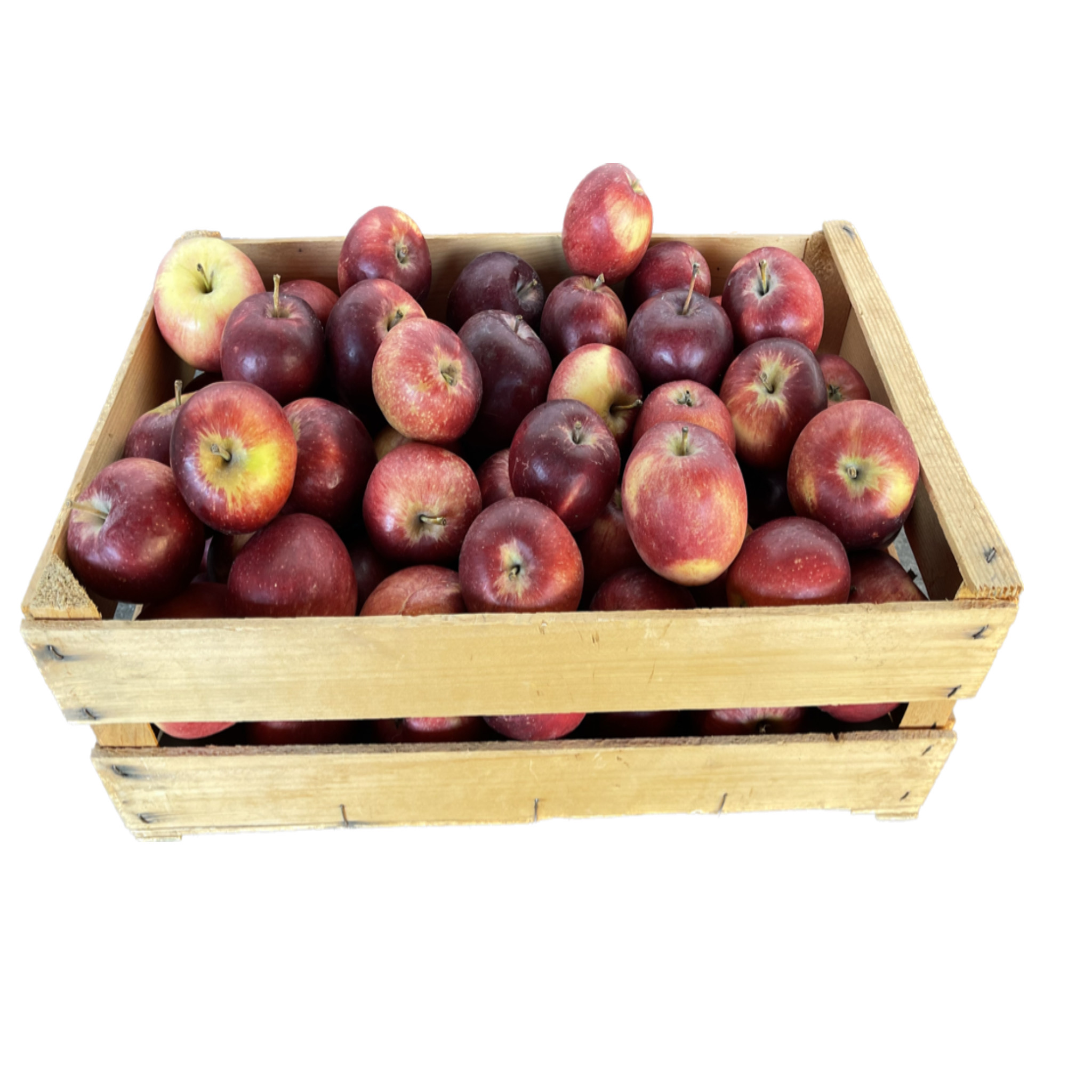 Äpfel rot Modi Kiste 9 kg