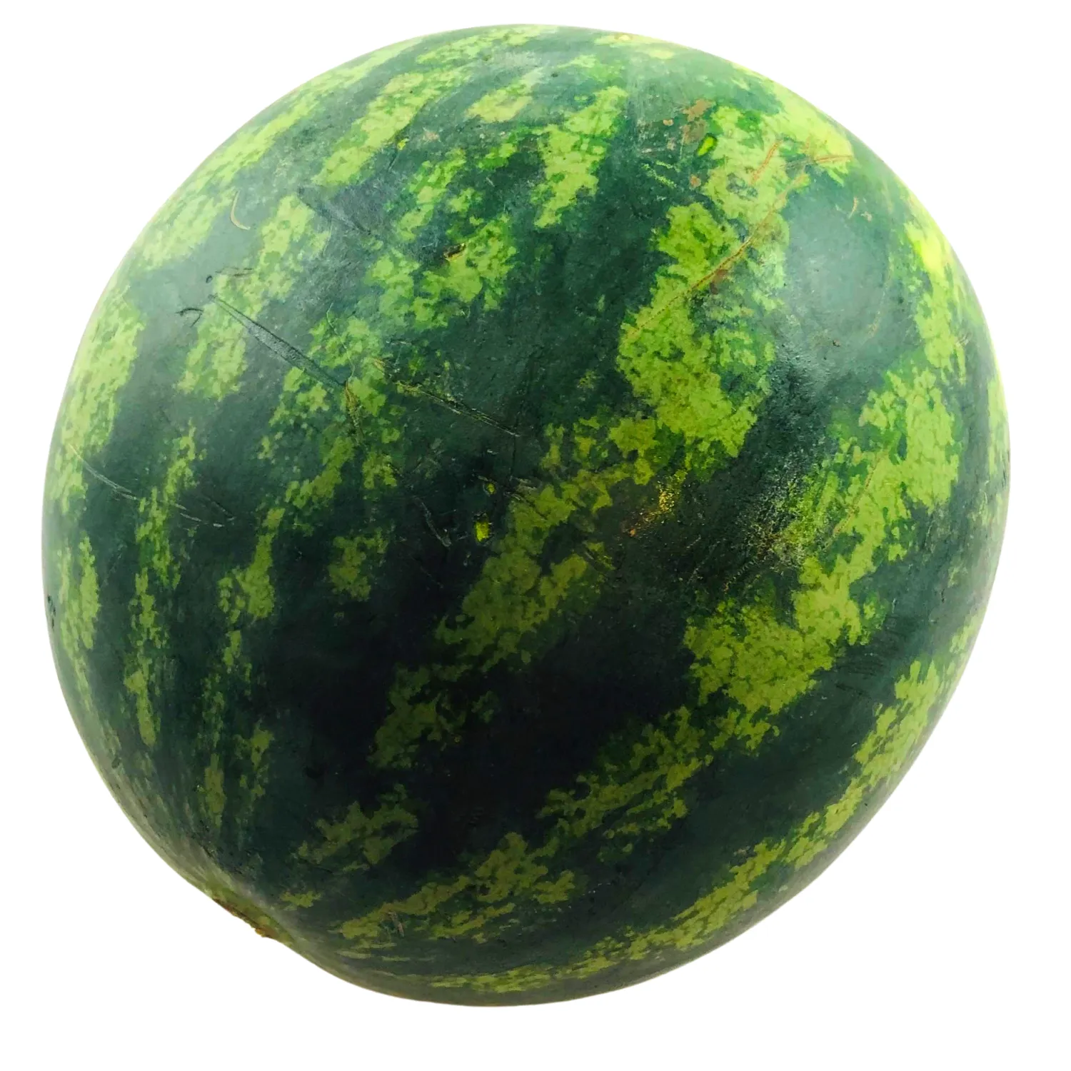 Anguria / Cocomero Bio