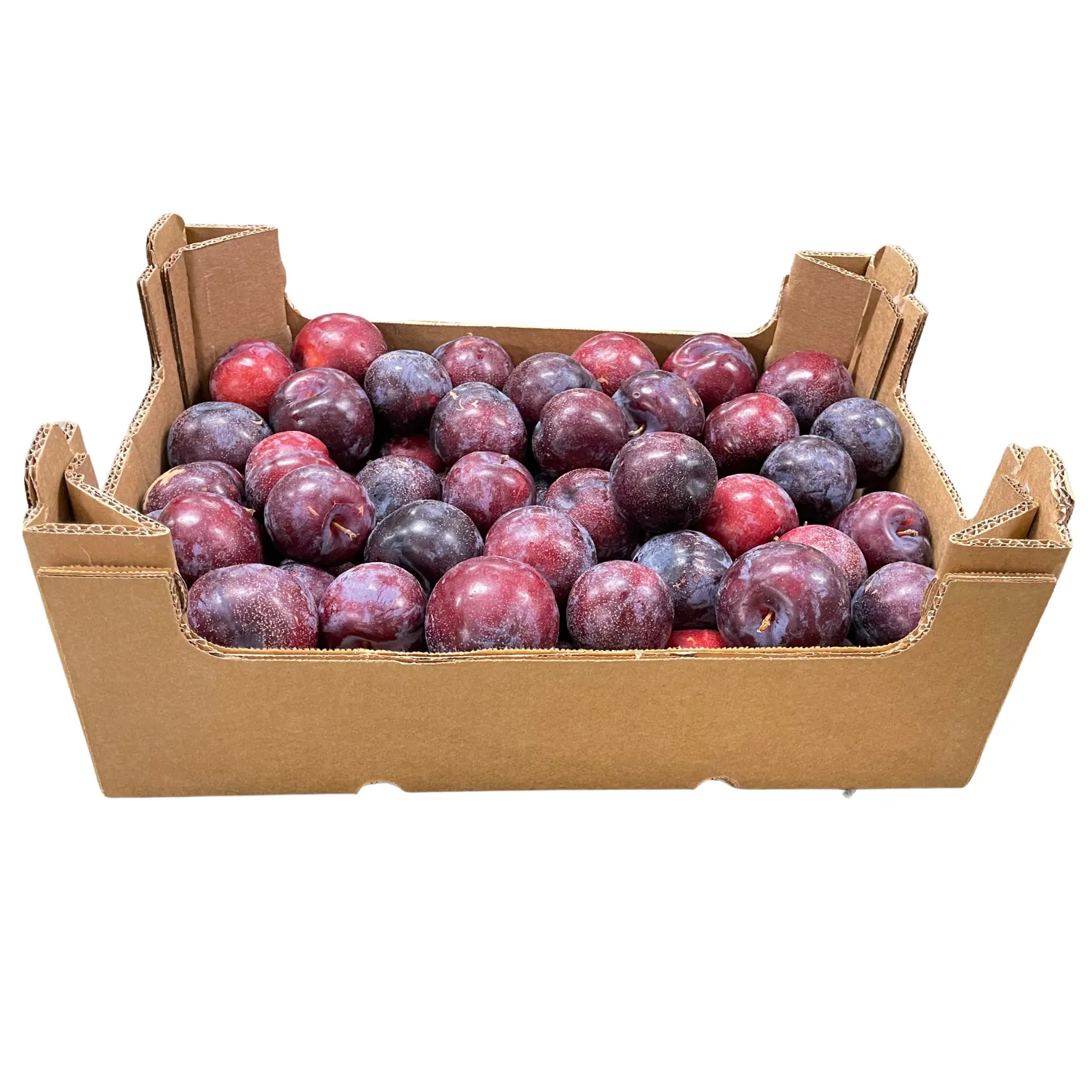 Susine nere Bio Cassa ca. 9 kg