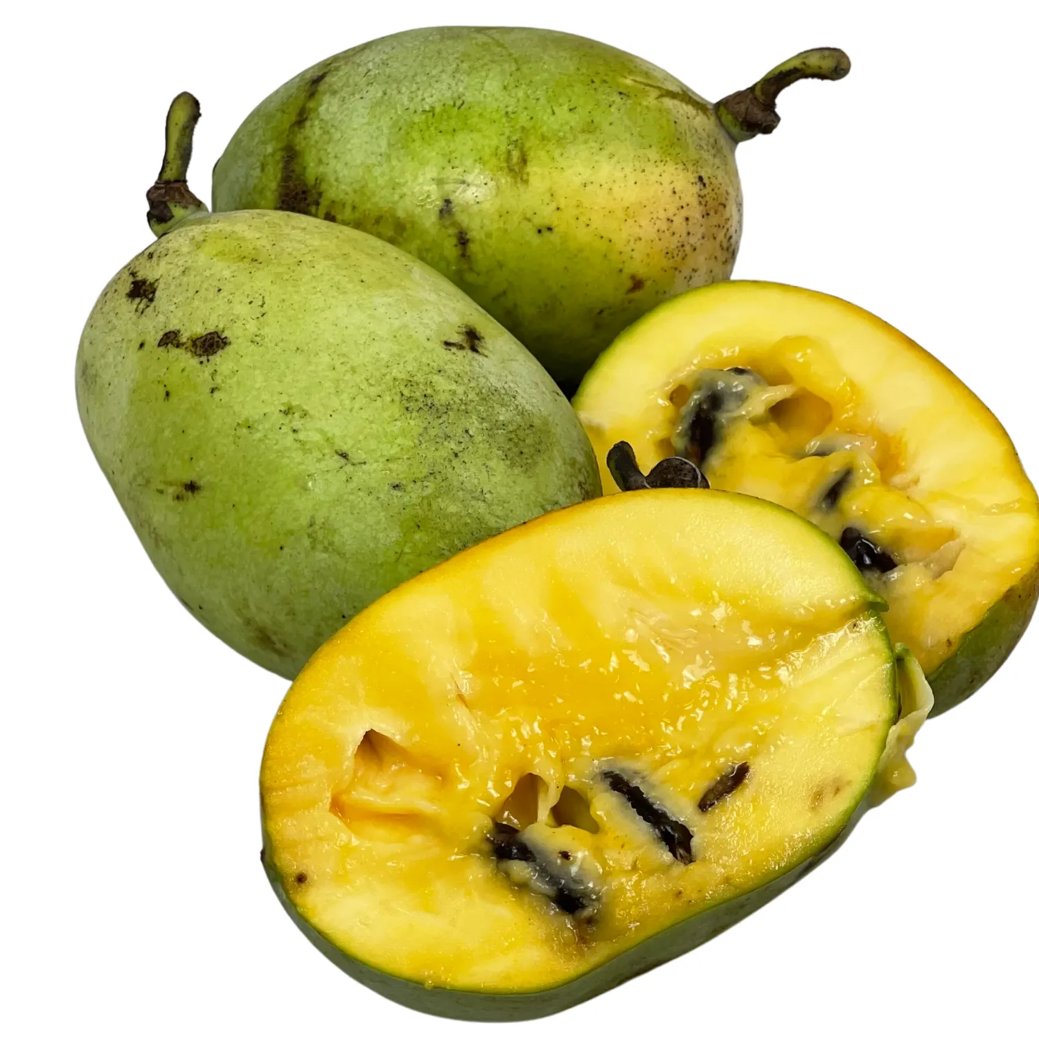 Asimina Bio