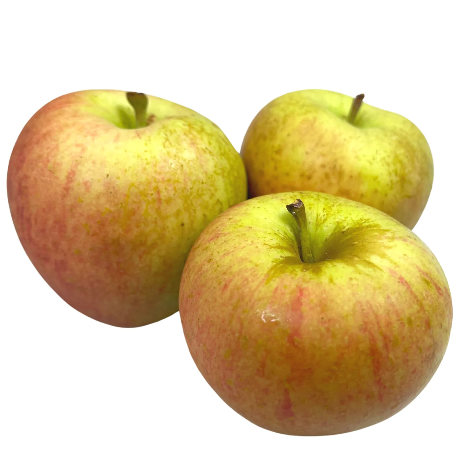 Äpfel rot Renoir Bio - neue Ernte