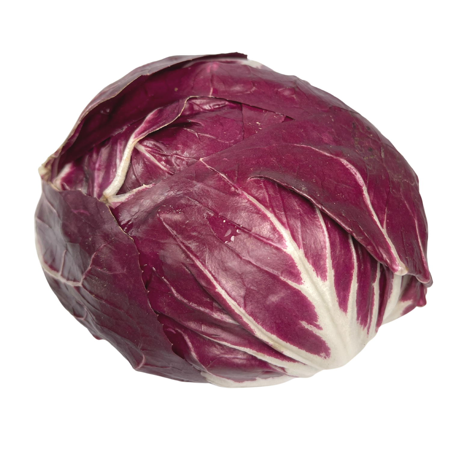 Radicchio rosso