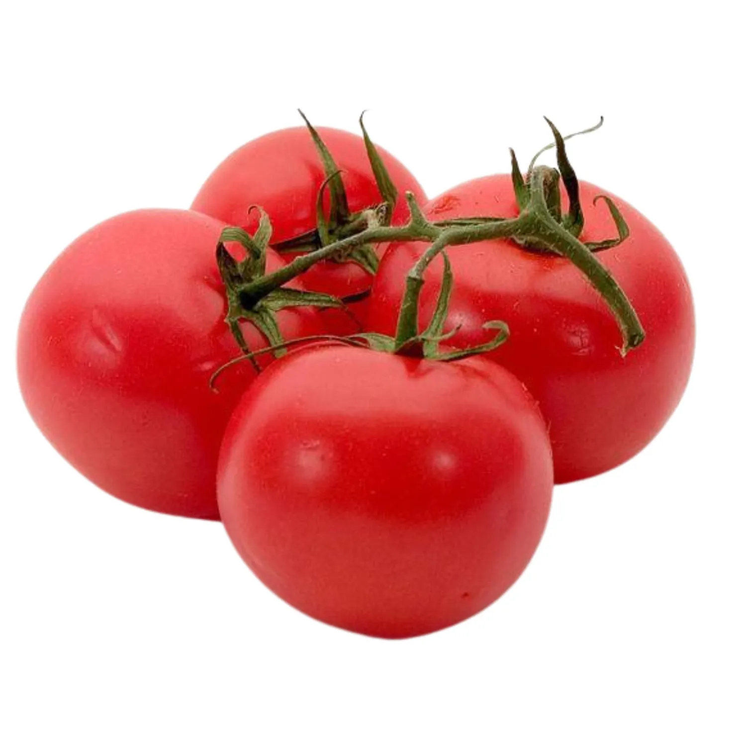 Pomodoro Bio