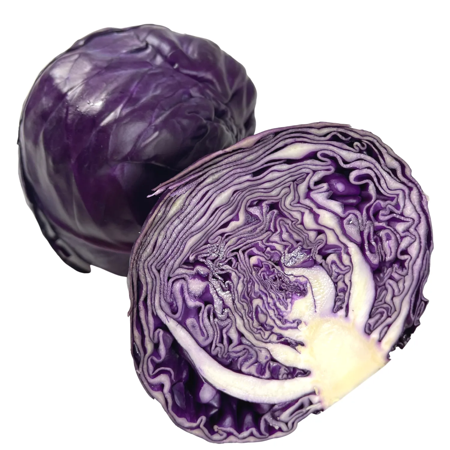 Cavolo cappuccio rosso Bio