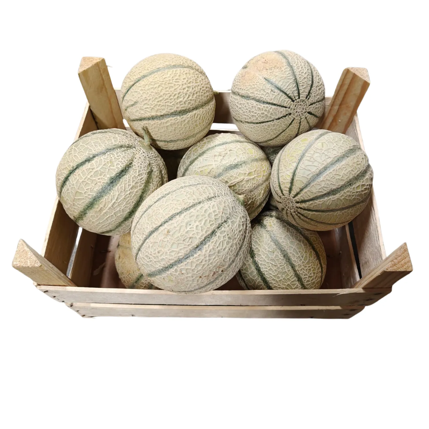 Melone Bio Cassa 7 kg