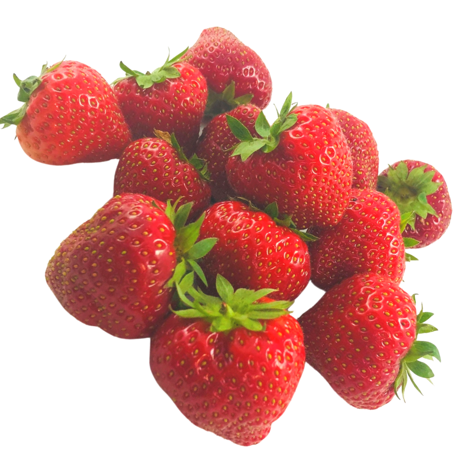 Fragole