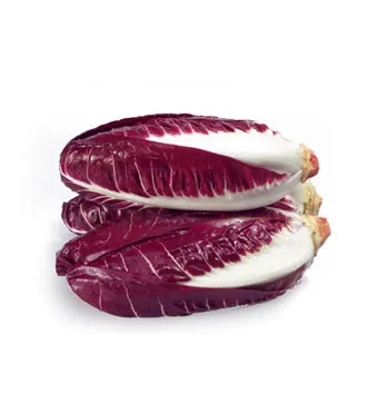 Radicchio rosso lungo Bio