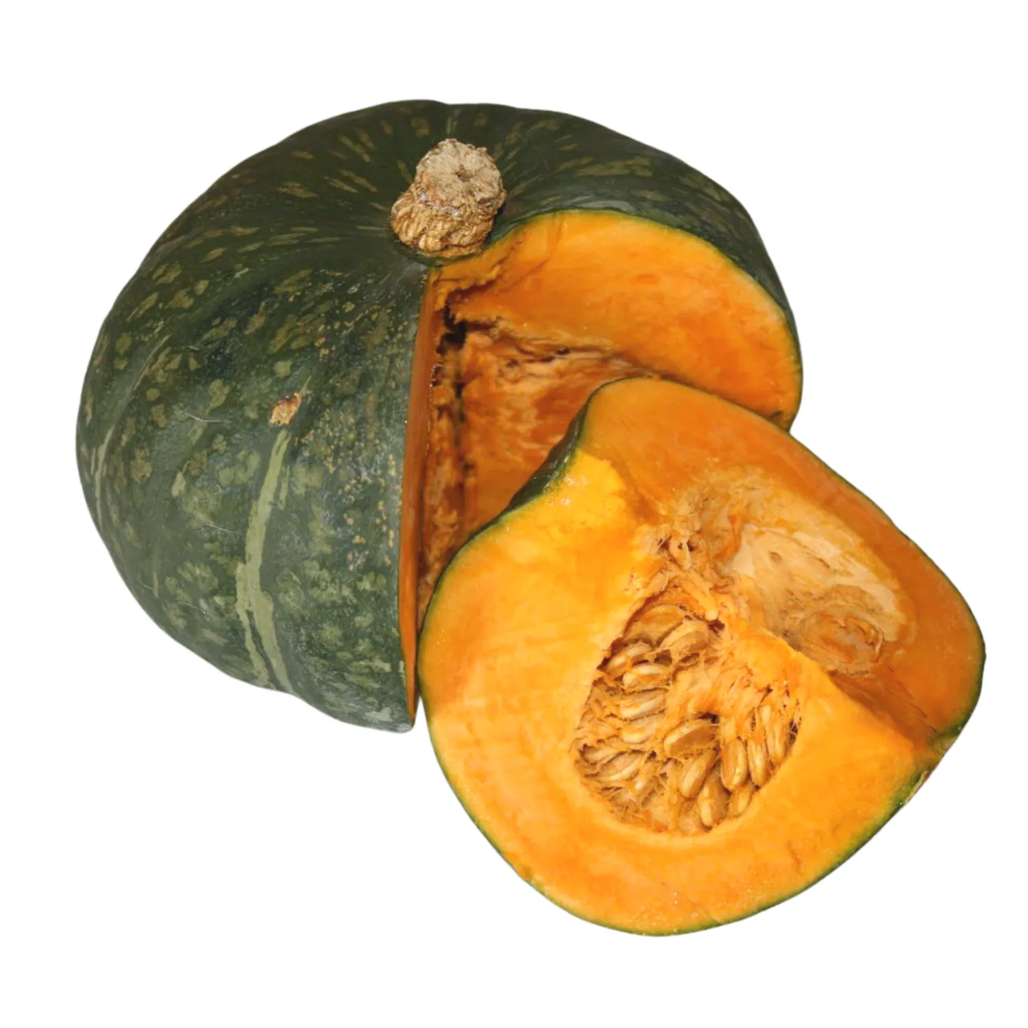 Zucca Delica Bio
