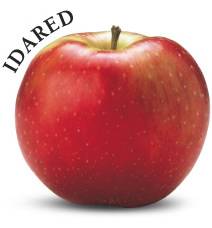 Mele rosse Idared