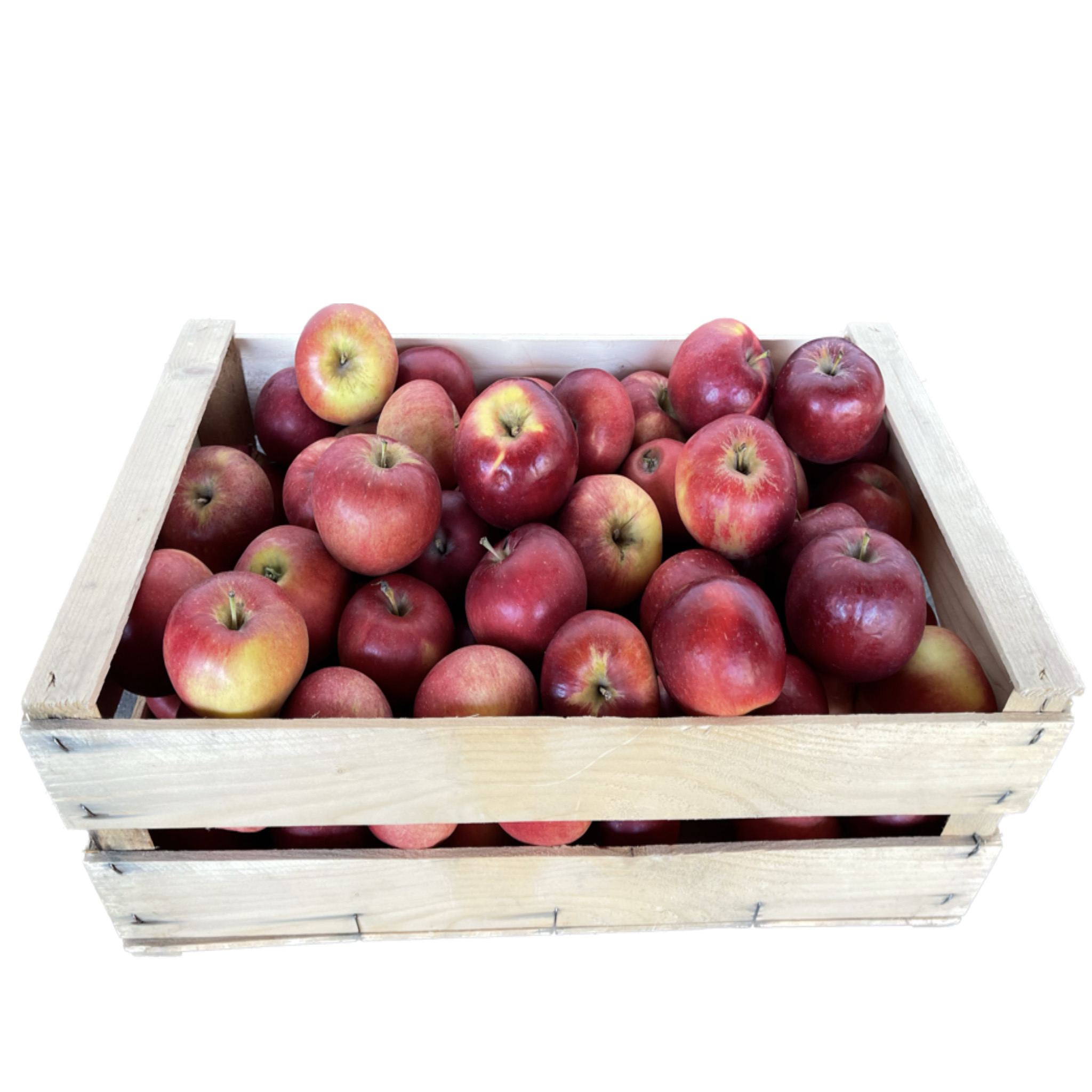 Äpfel rot Gaia Kiste 9 kg
