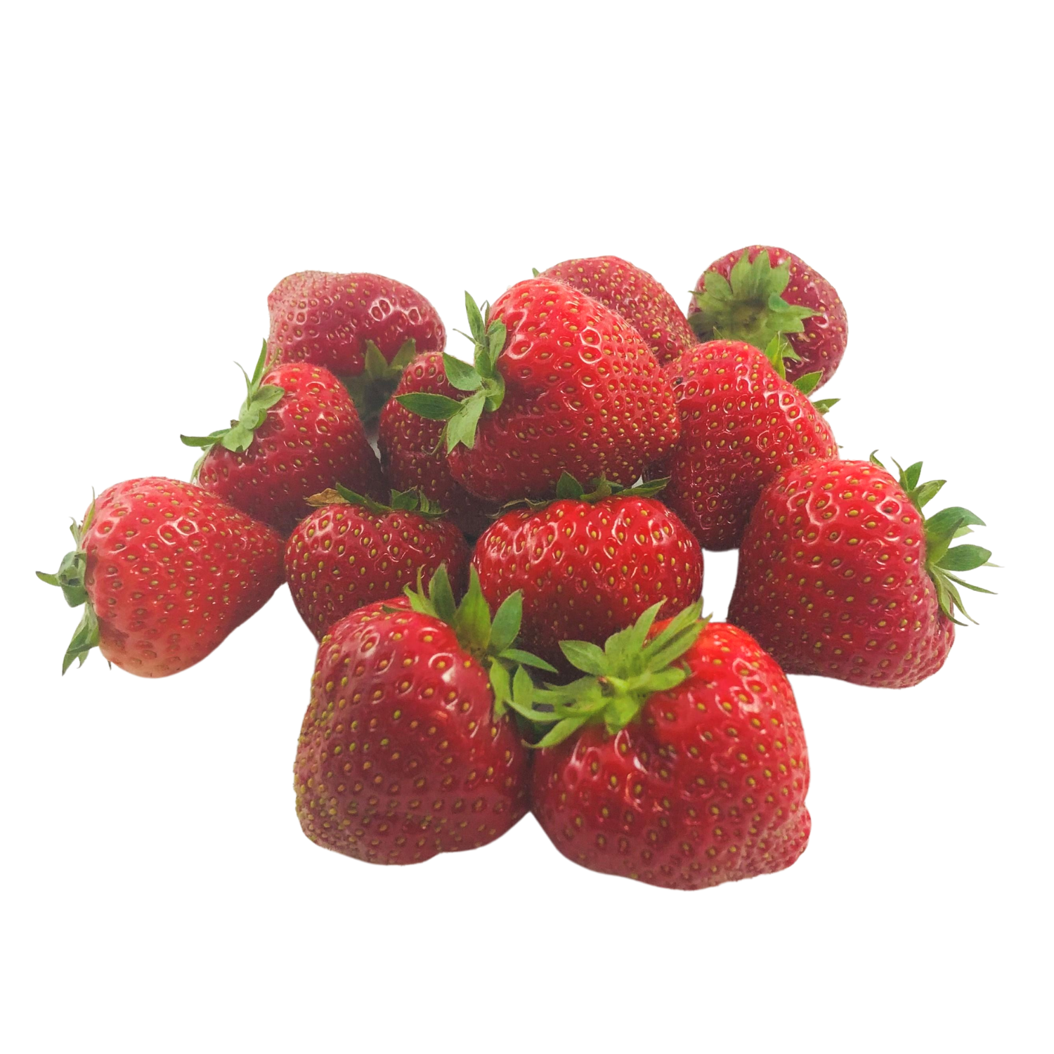 Fragole Bio