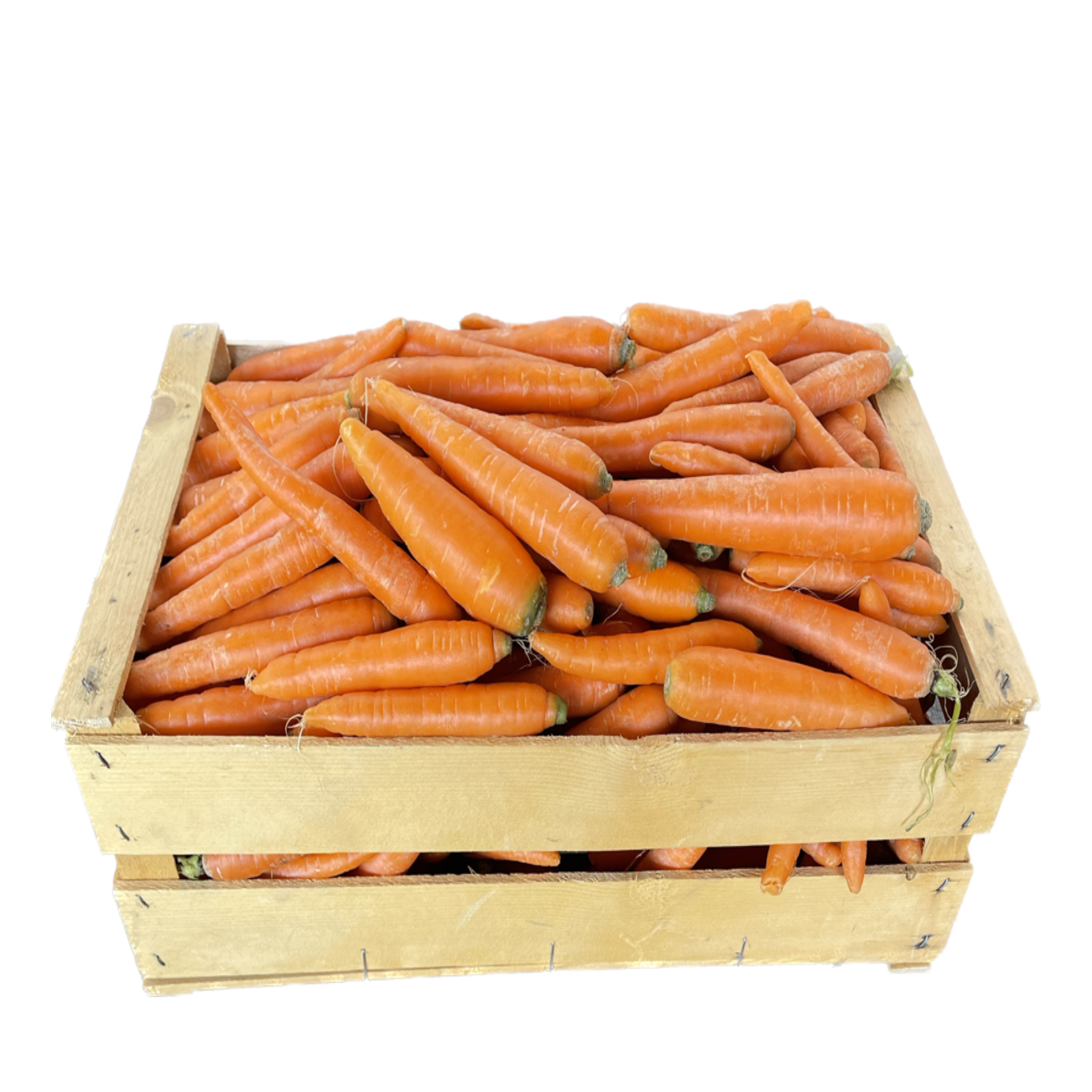 Carote Cassa 10 kg