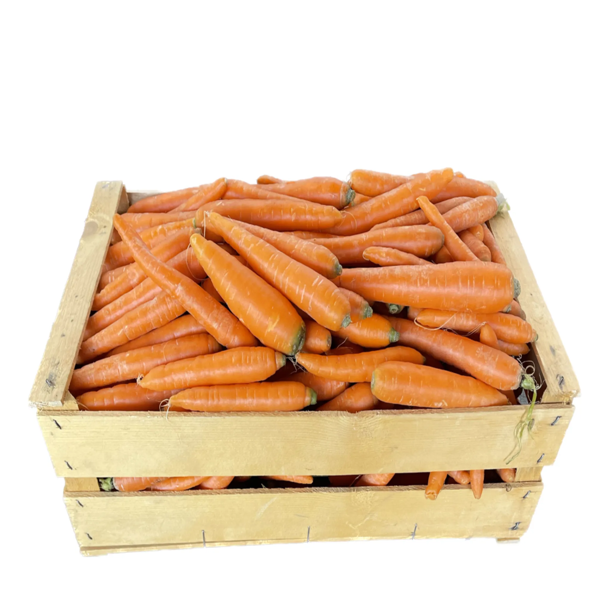 Carote Bio Cassa 10 kg