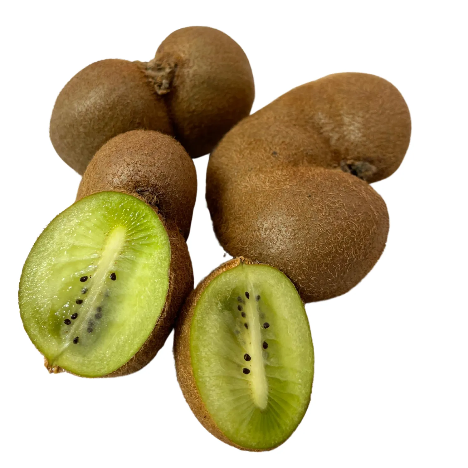 Kiwi Bio