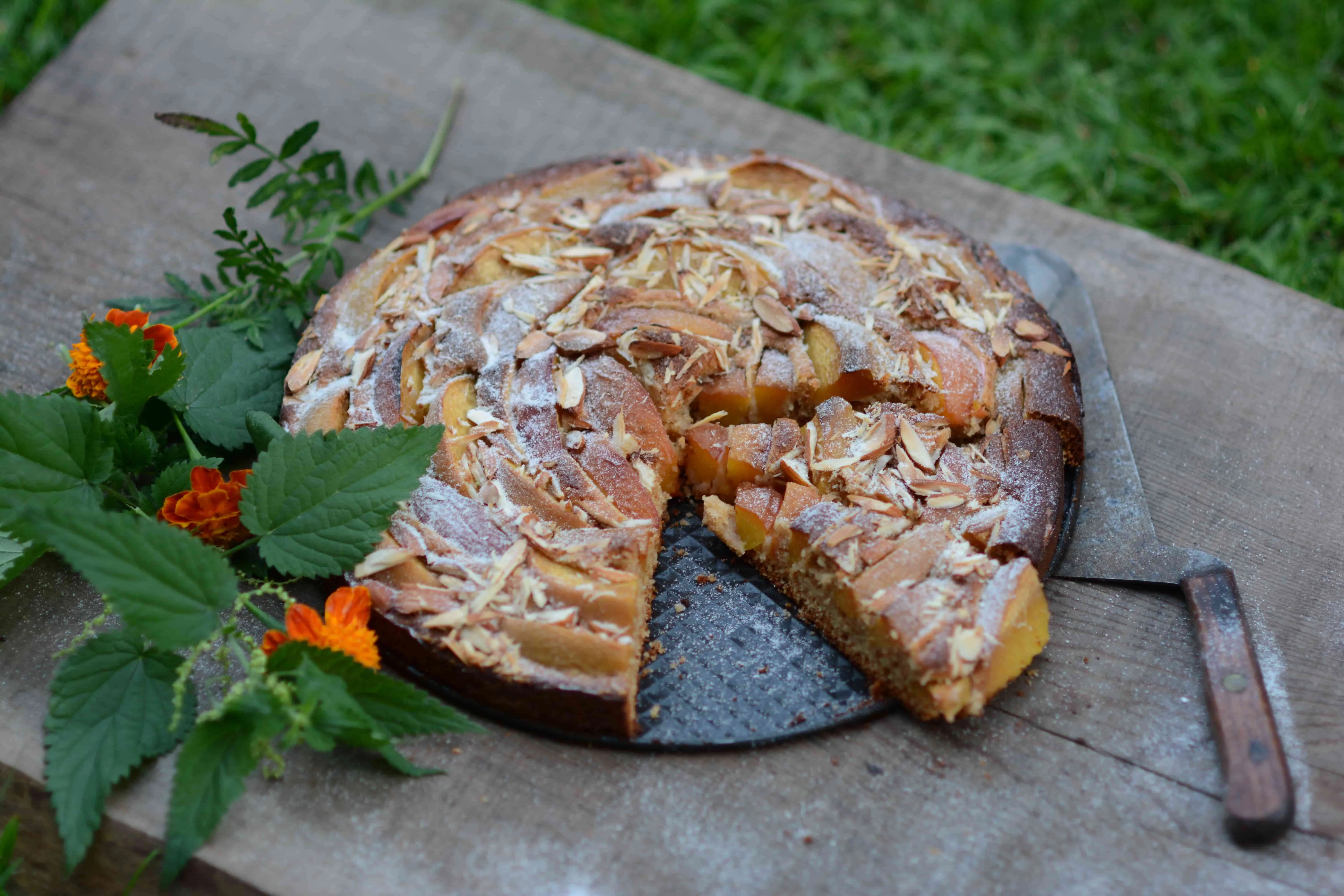 Torta di frutta alle pesche