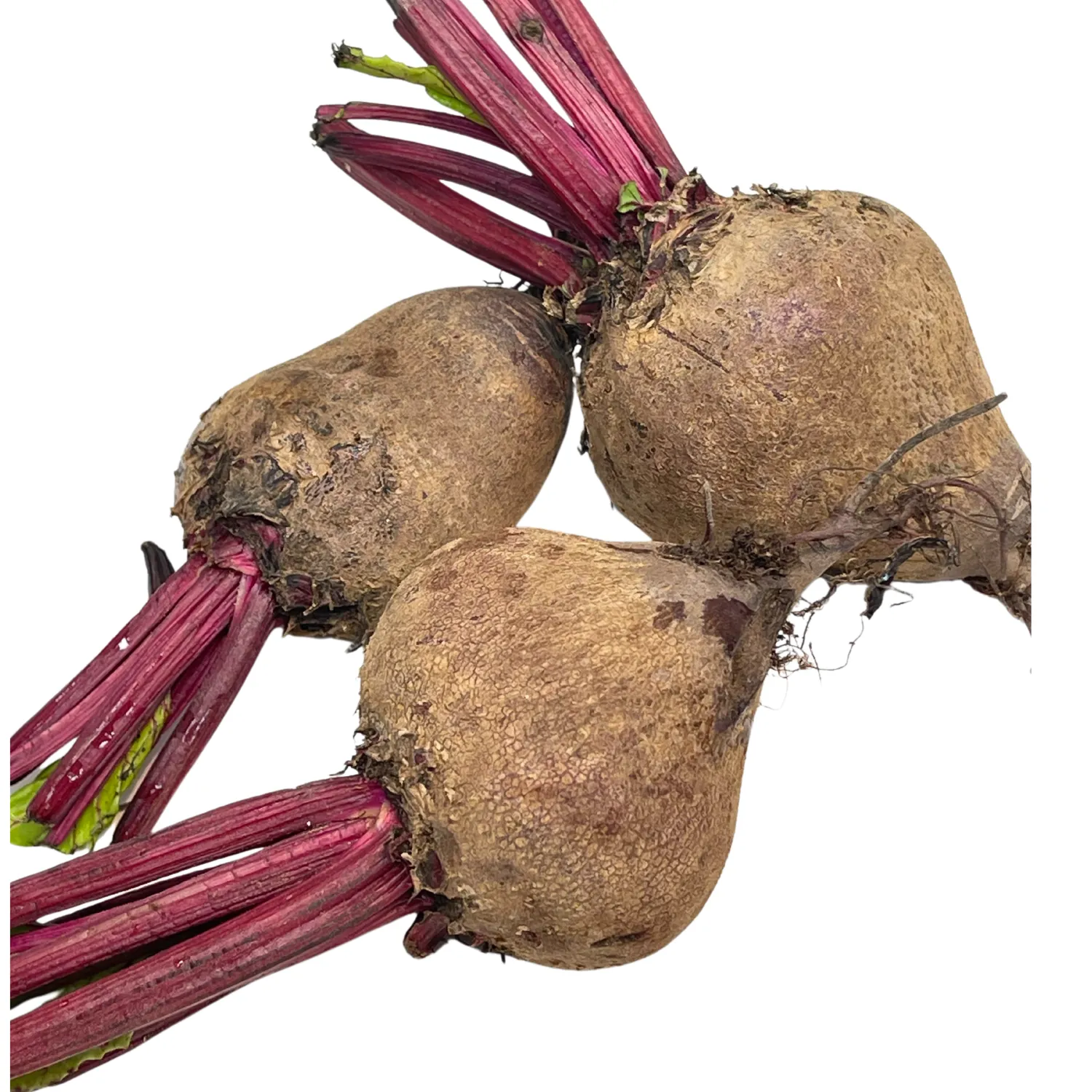 Barbabietola rossa Bio senza foglia